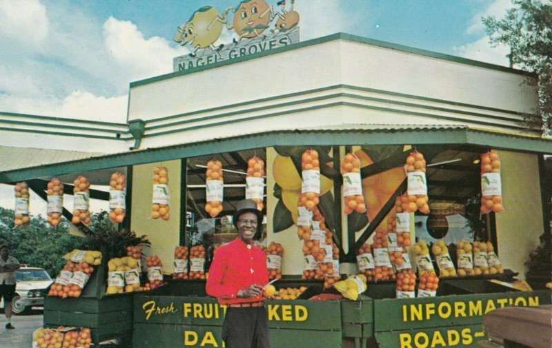 CYPRESS GARDENS Florida 1950-60s Nagel Groves Citrus Stand OLD PHOTO
