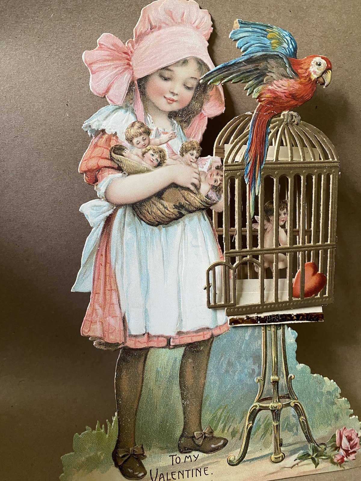 Vtg Parrot Cupid In A Cage Girl Valentine Card Diecut Foldout Made Germany