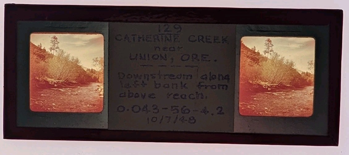 40's STEREOSCOPIC GLASS SLIDE CATHERINE CREEK NEAR UNION OREGON SGS2