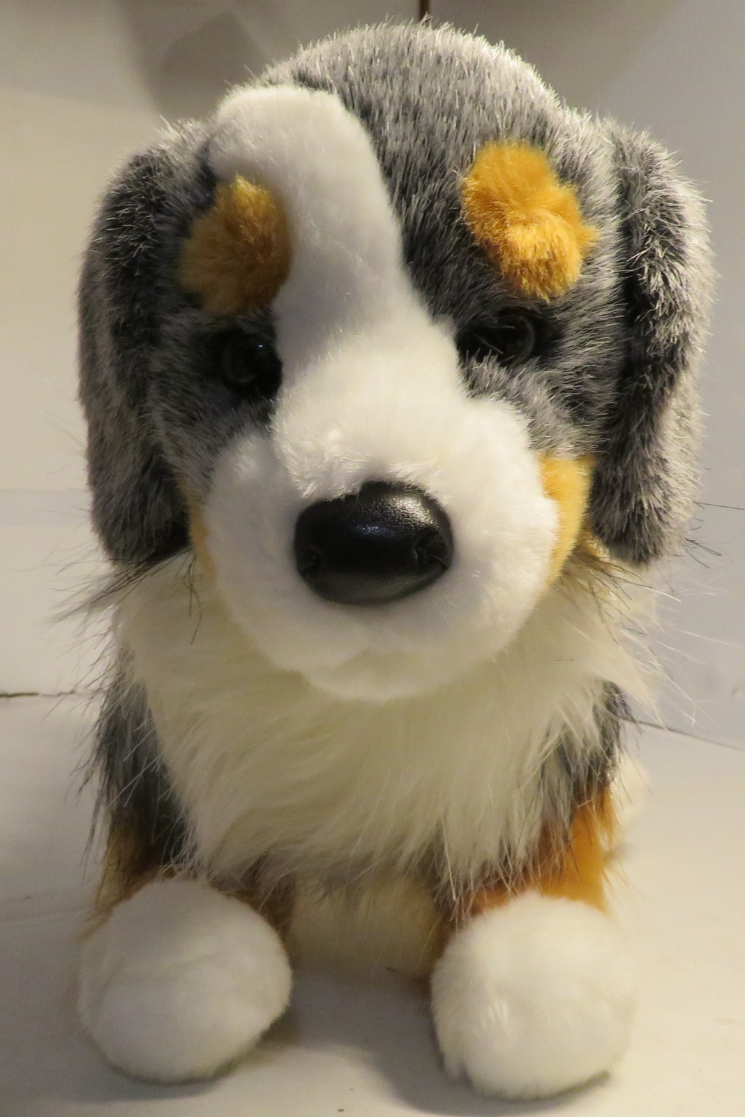 Old Sinclair Australian Shepard Plush Dog Douglas Cuddle Toys 2023 Rare #2019 GU