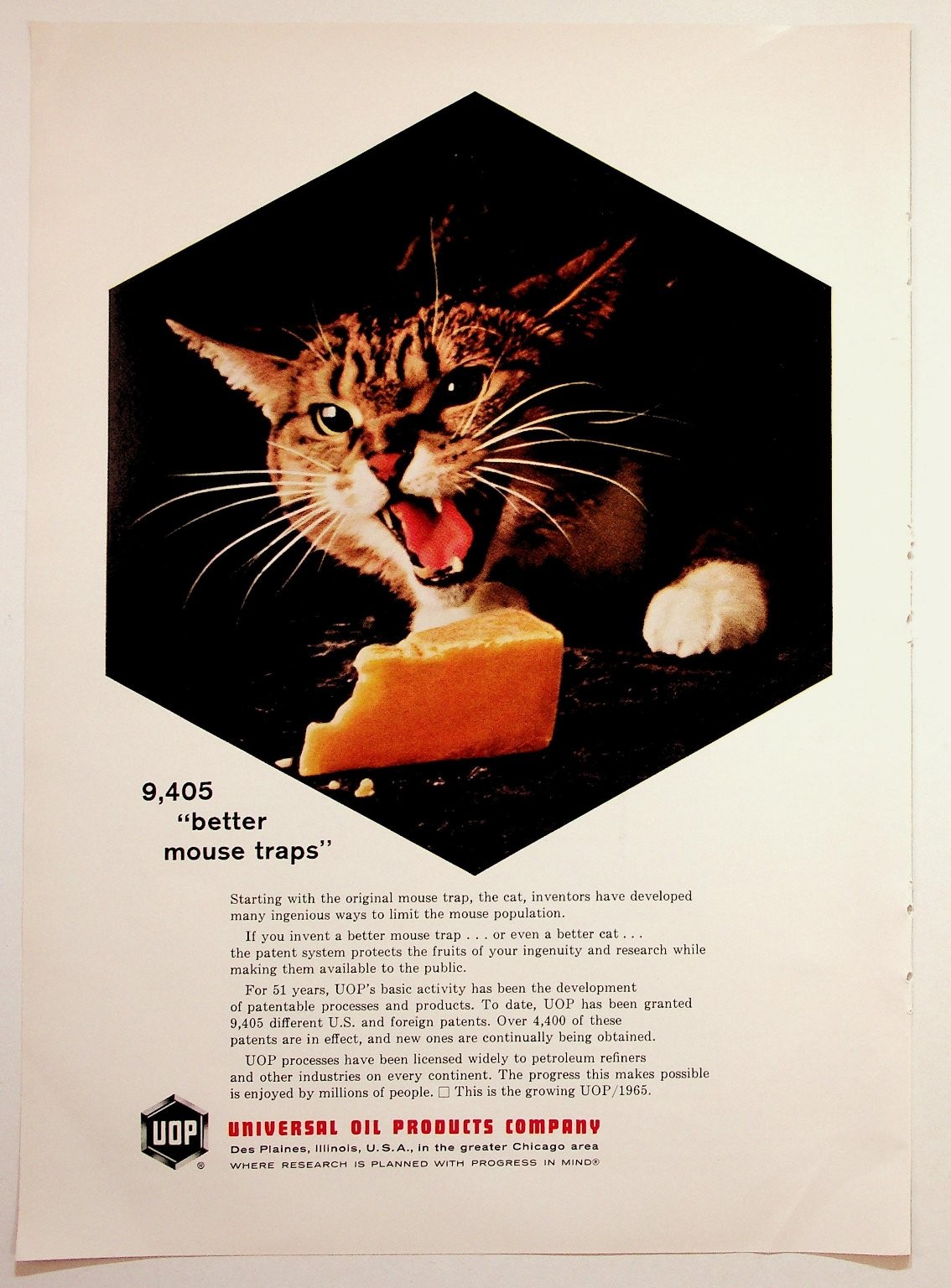 1965 UOP Universal Oil Products Company Cat & Cheese Vintage Print Ad