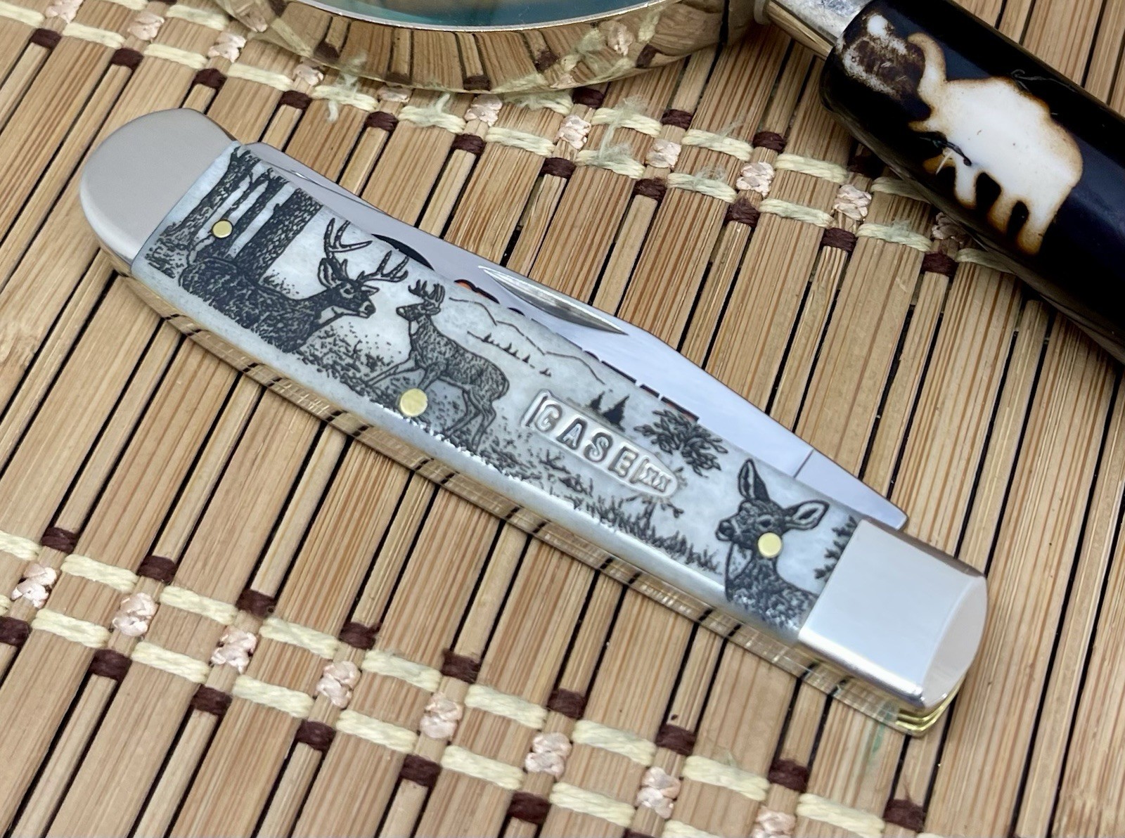 Case XX USA Natural Bone DEER Sportsman Series 81220 Trapper Pocket Knife