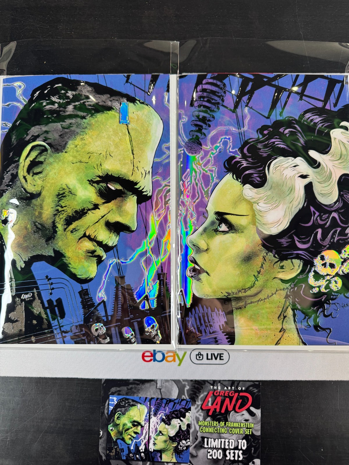 FRANKENSTEIN BRIDE OF FRANKENSTEIN EMBOSSED FOIL GREG LAND ARTBOOK SET LMTD 200 FRANKENSTEIN BRIDE OF FRANKENSTEIN EMBOSSED FOIL GREG LAND ARTBOOK SET LMTD 200