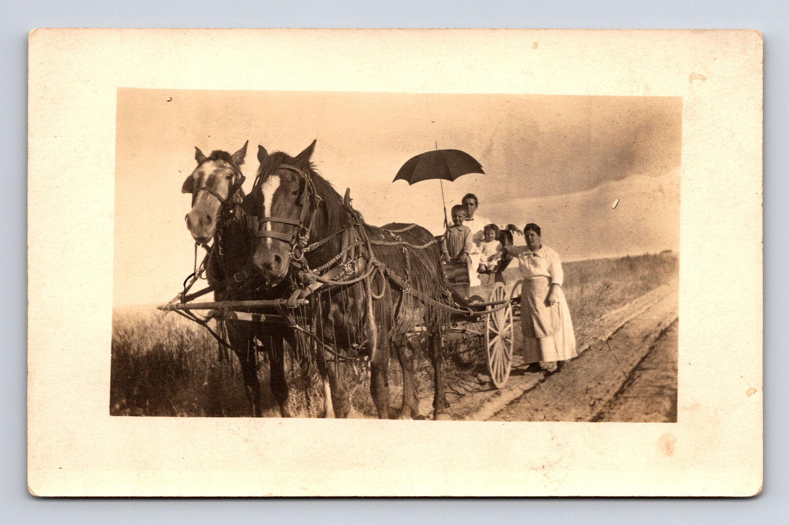 RPPC Women Children Two Horse Drawn Buggy Carriage Farm Real Photo Postcard