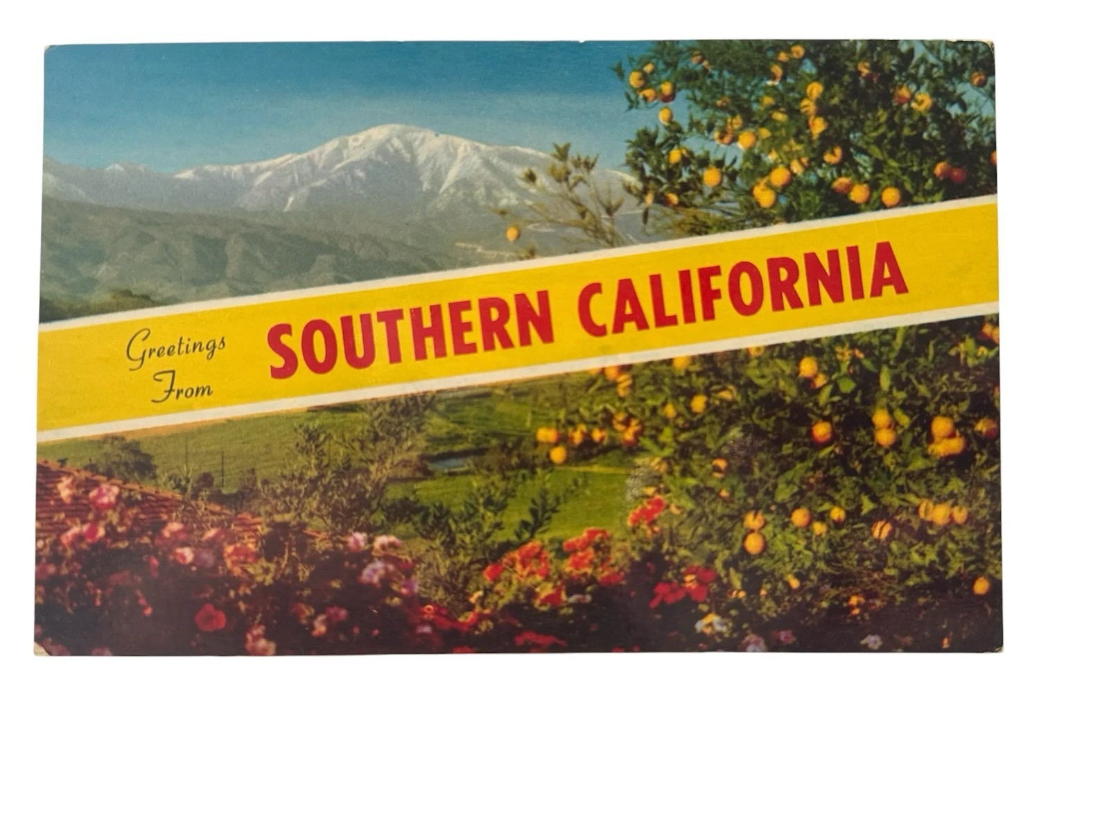 Greetings from Southern California, Snow Capped Mountains & Oranges - Postcard 