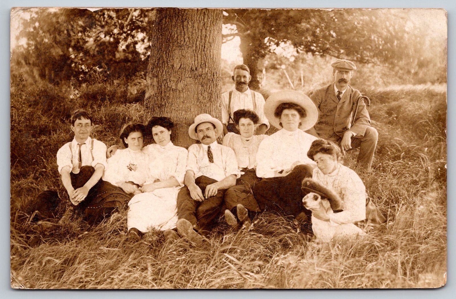 Family Group Portrait People Dog Outdoor Tree Grassy Field Postcard RPPC