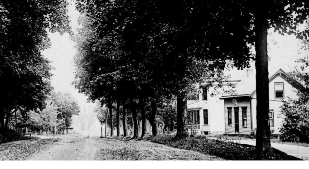 RPPC Low Angle View Dirt Road Foreboding Tree Lined Tire Swing Old Homes -A78