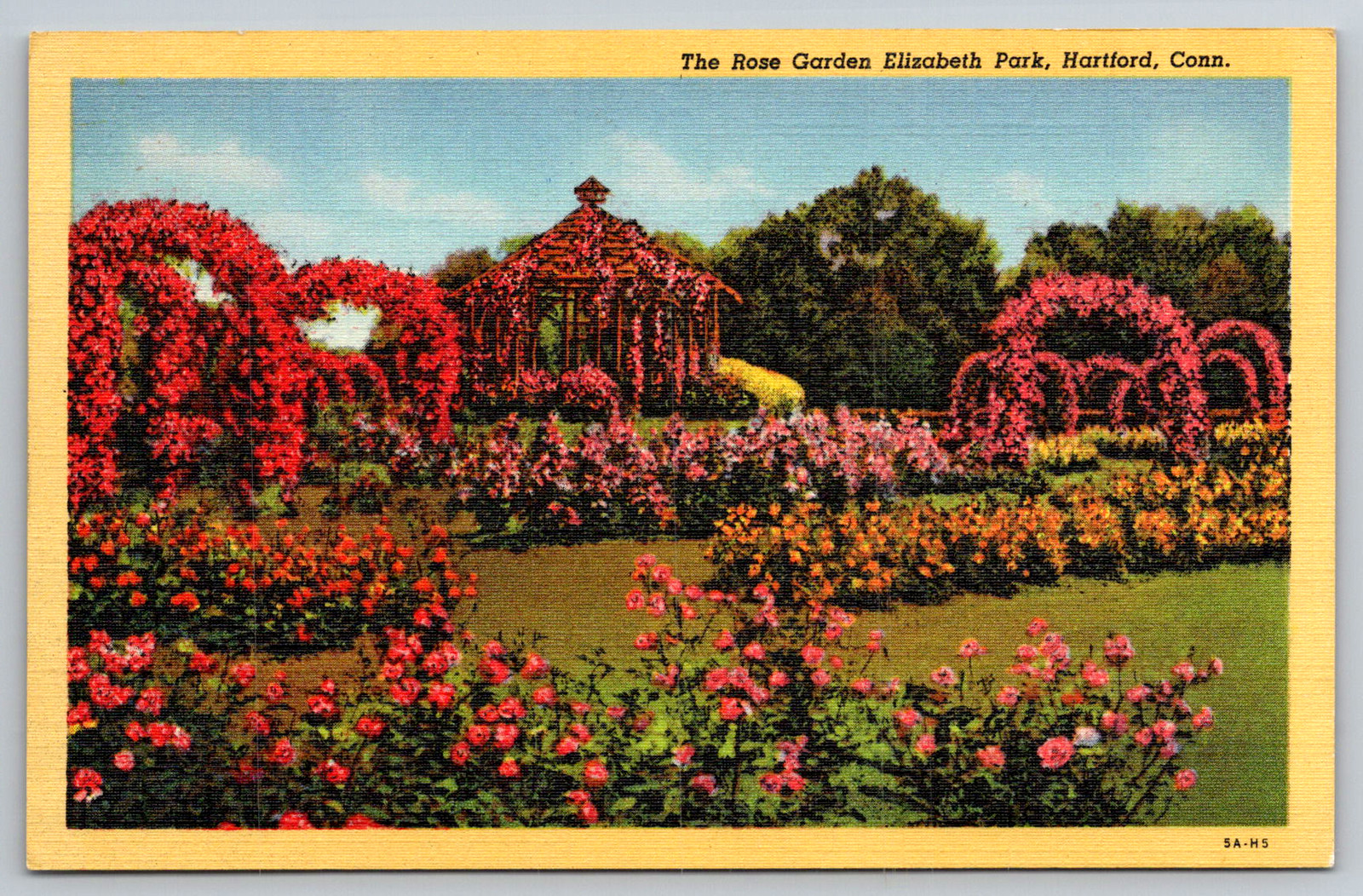 c1940s Elizabeth Park Rose Garden Hartford Conn Postcard