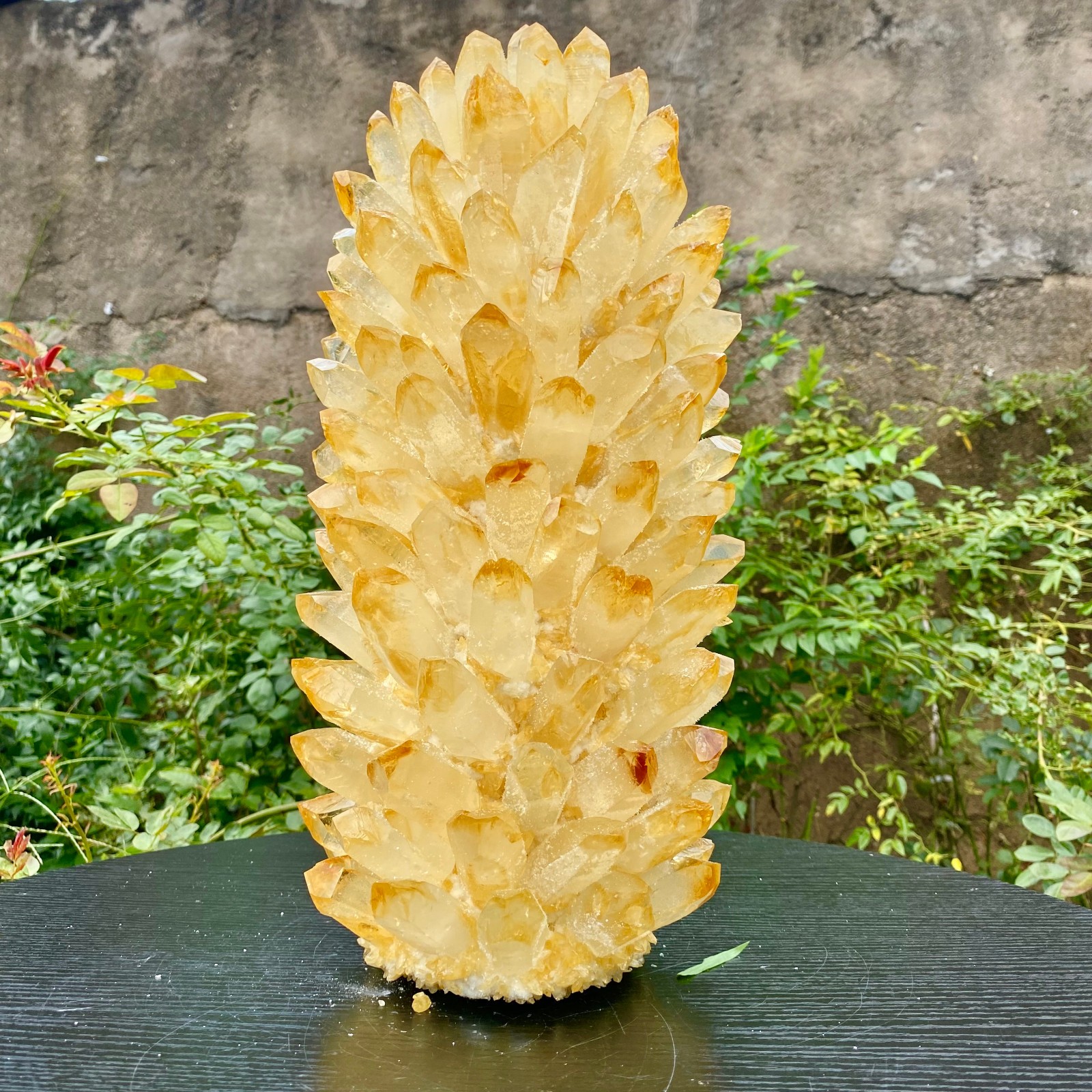27.9LB  Premium New Discovery Big Citrine Cluster Healing Mineral Specimen Colle