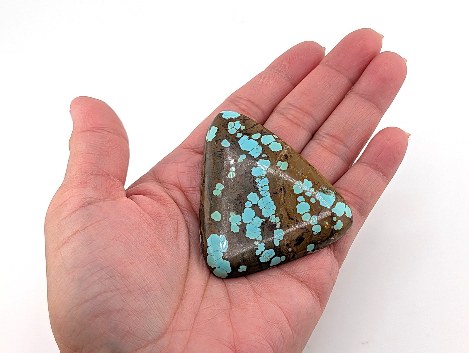 Authentic No. 8 Mine Turquoise RARE 164 Carats Spiderweb Matrix Nevada USA Gem
