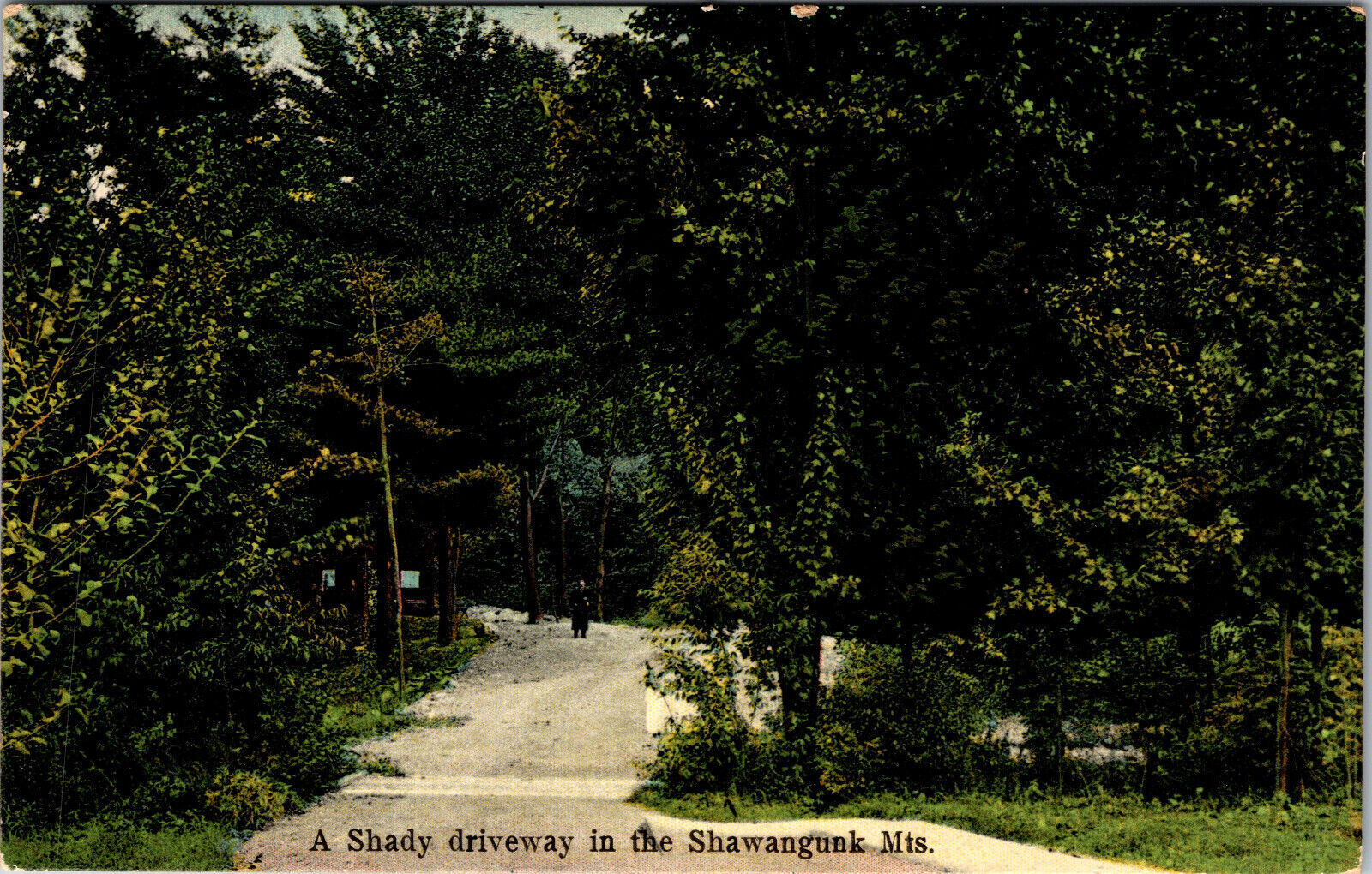 Postcard A Shady Driveway In The Shawangunk Mountains 1910