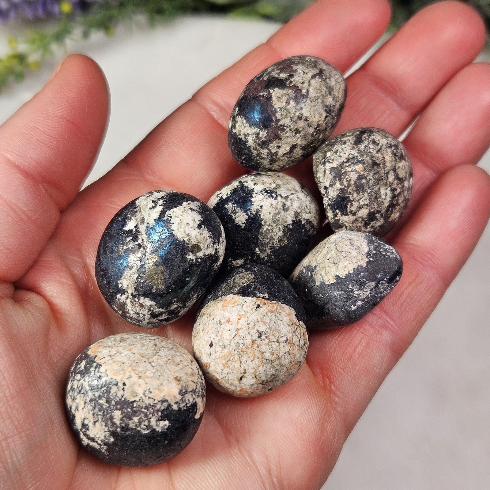 Covellite & Pyrite Specimen