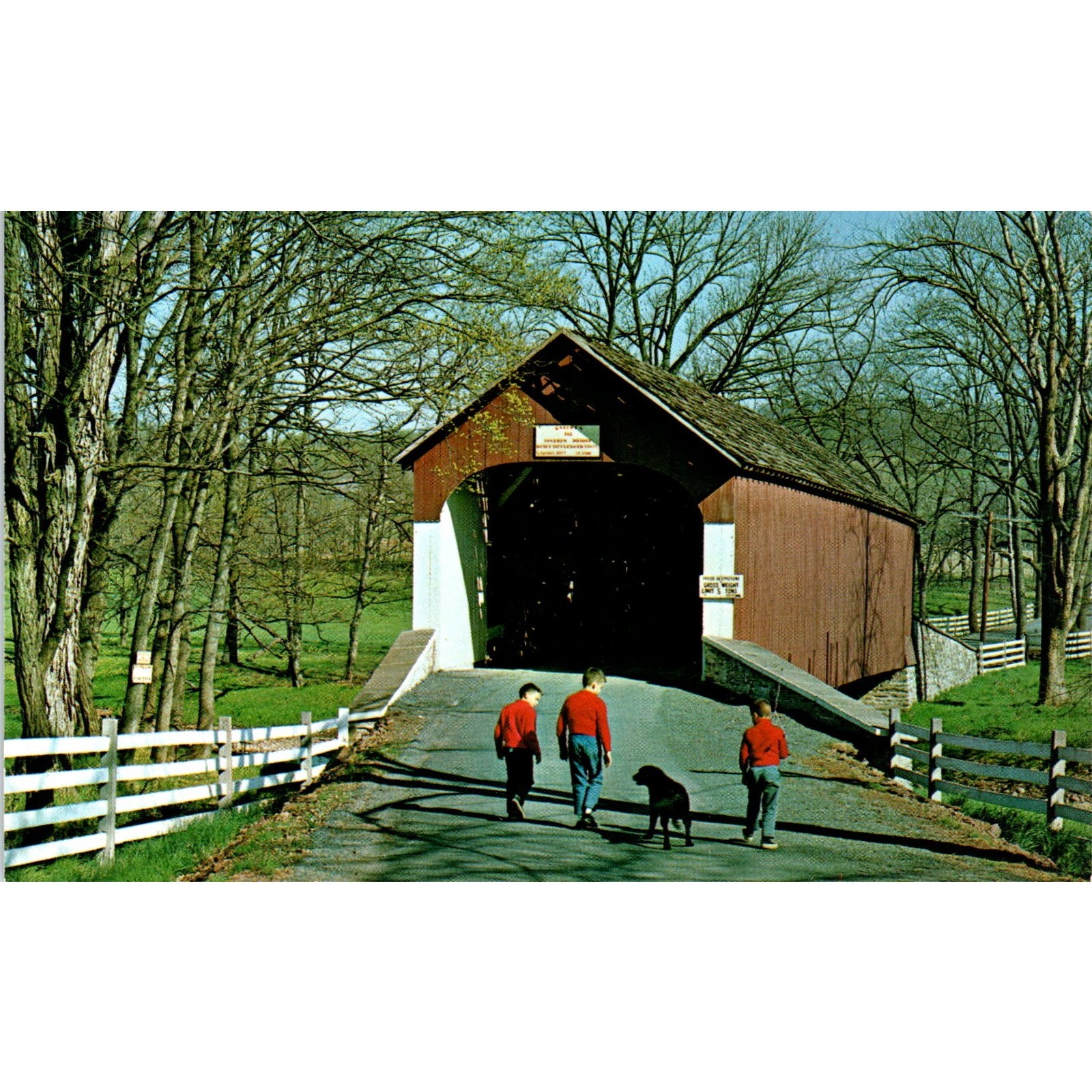 Bucks County Bridge 192 Sleifer\'s Valley Knecht\'s Covered Bridge Postcard PB10