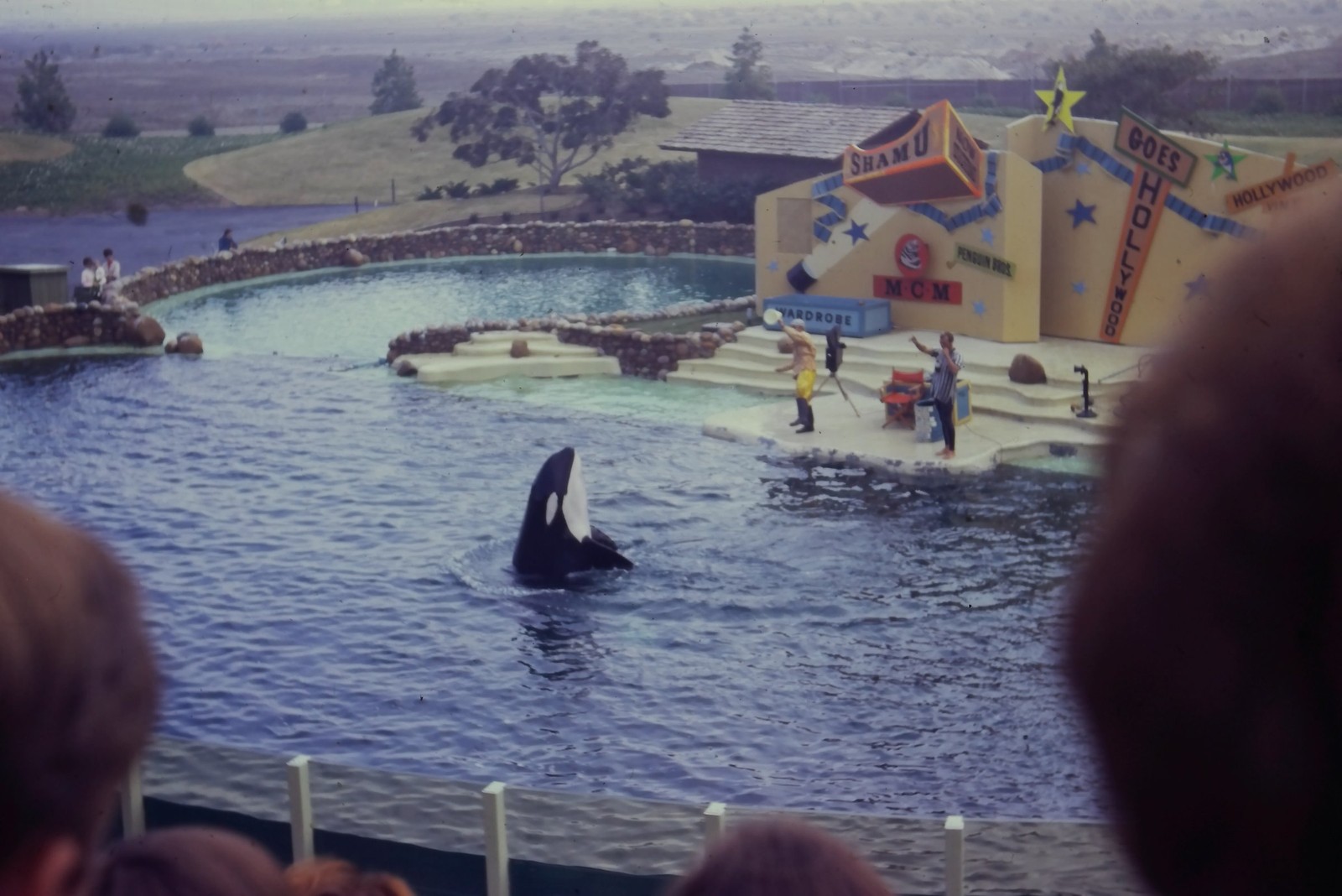 c1970's 35mm Slide SeaWorld San Diego Shamu Goes Hollywood Orca Show Sign Water