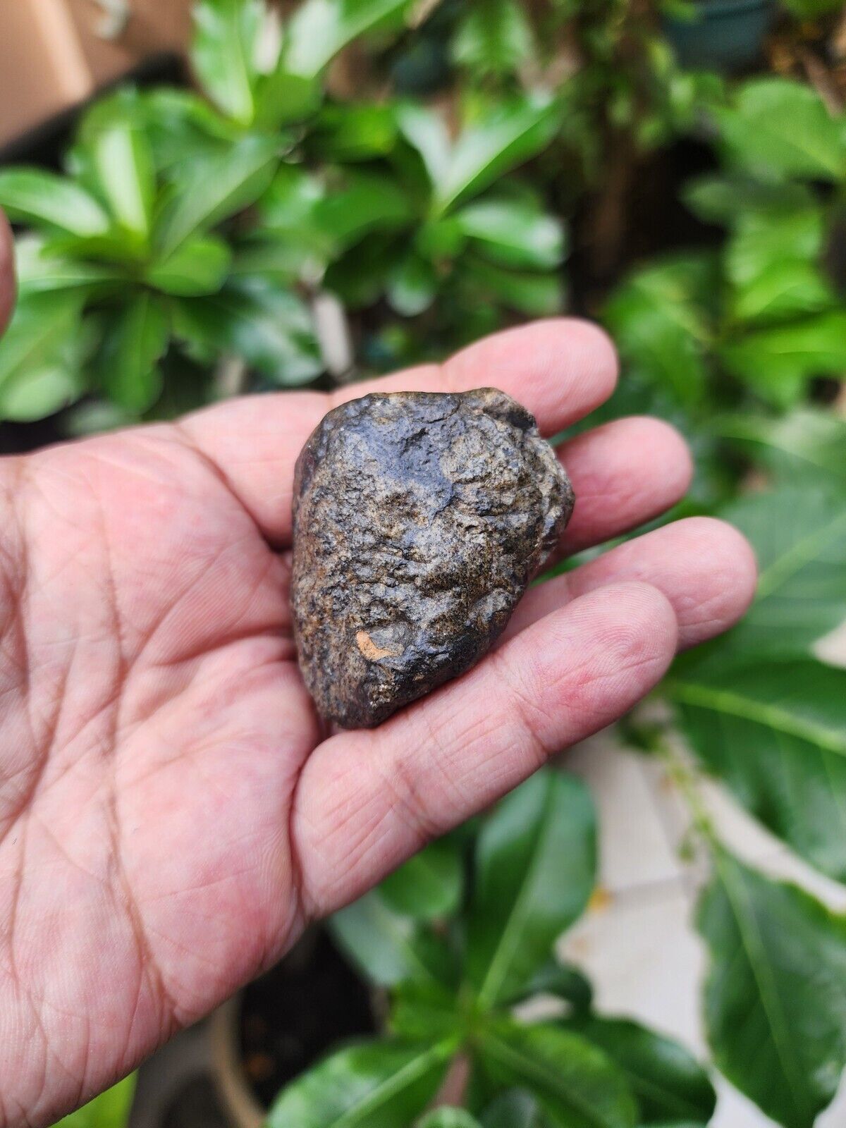 eucrite meteorite- Eucrite Melt Breccia - Found libya desert -Anchondrite 405CT