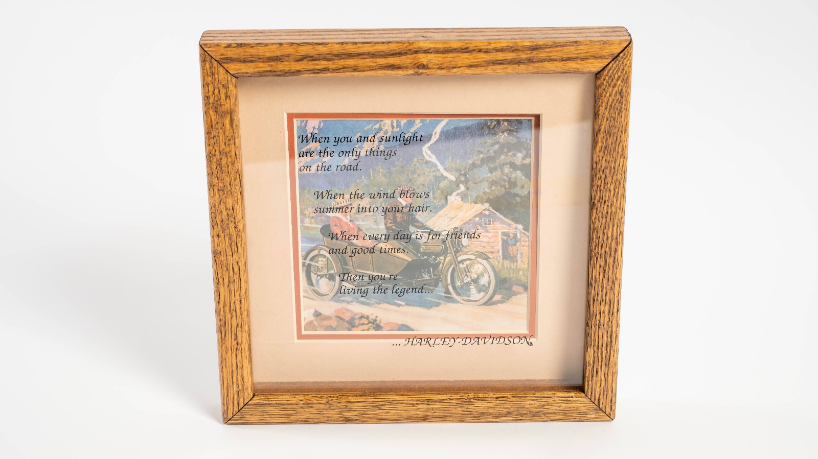 1991 Harley-Davidson House Plaque New 99131-91Z