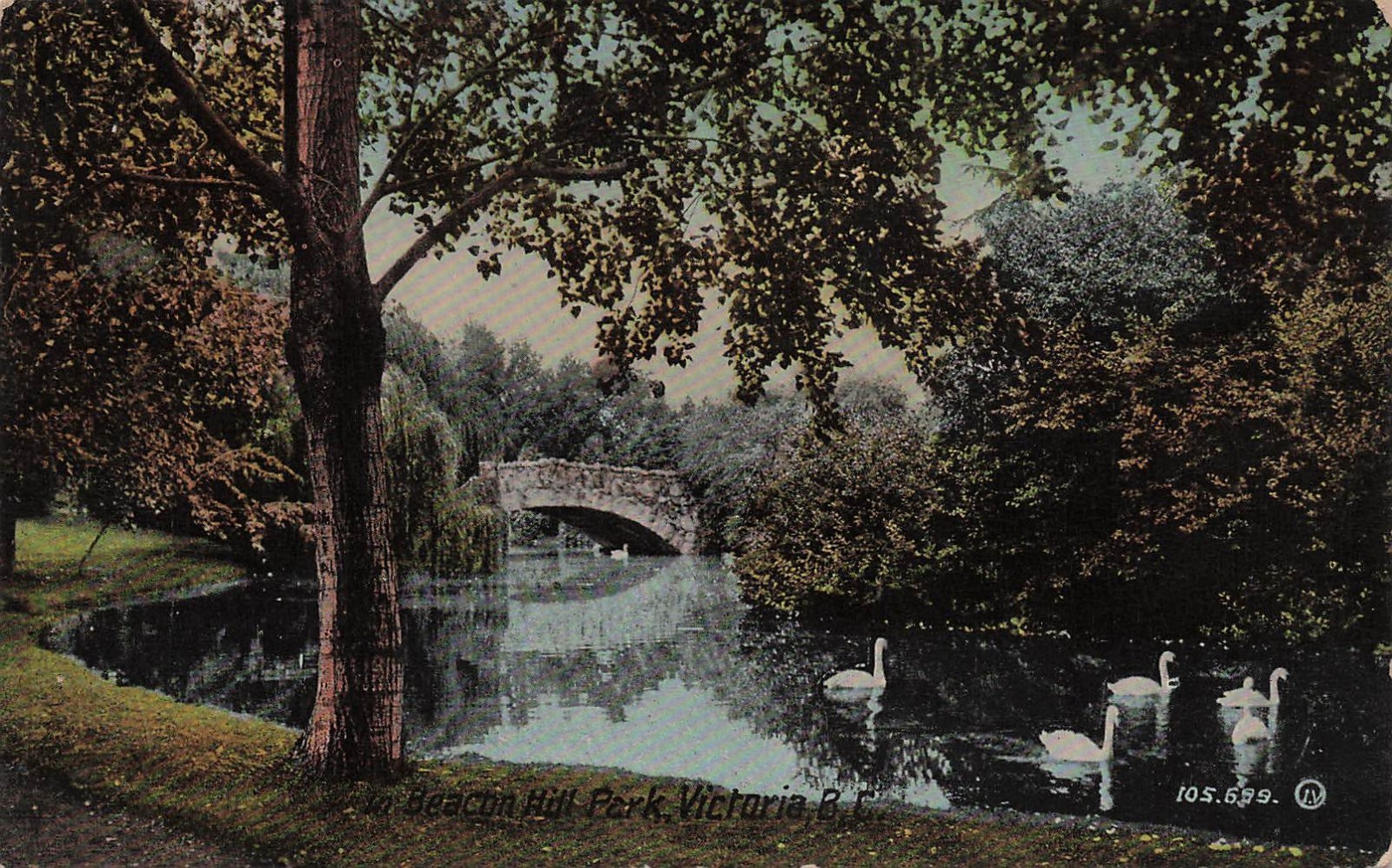 Victoria BC British Columbia Beacon Hill Park Stone Bridge Swans Vtg Postcard 1A