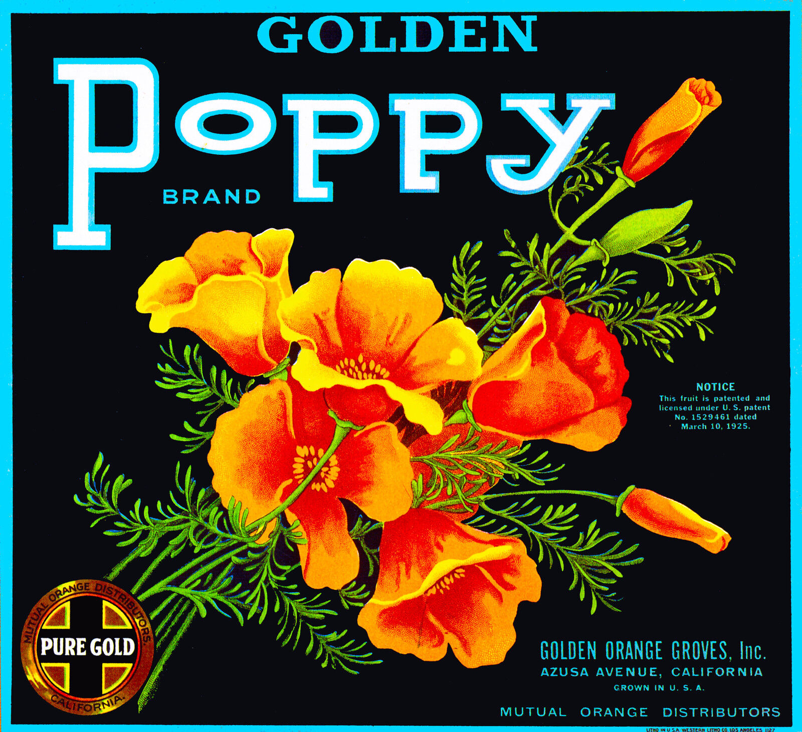 Azusa Los Angeles Golden Poppy Flowers Orange Citrus Fruit Crate Label Art Print