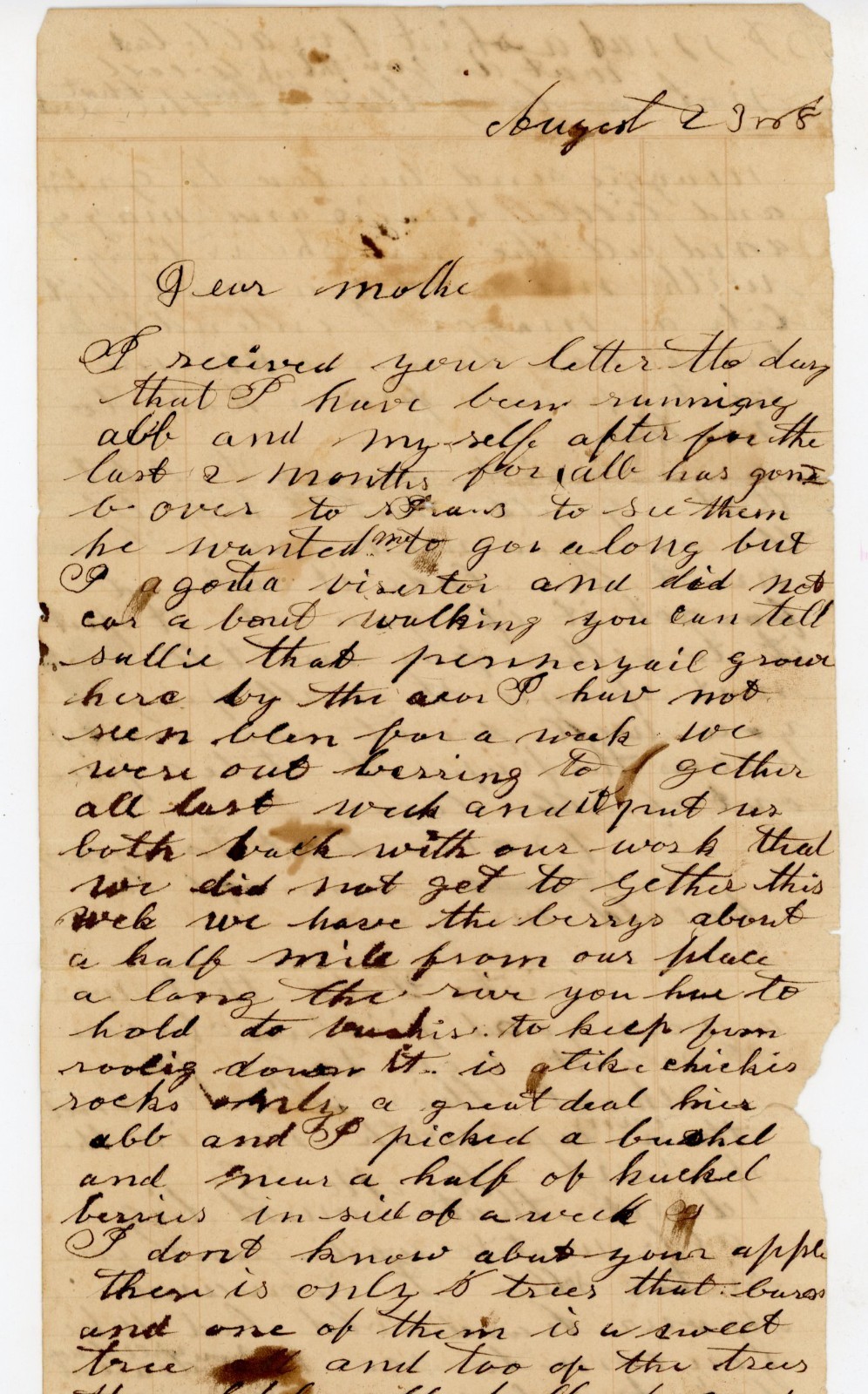 1868 Handwritten Family Letter Farming Apples Buckwheat Albright Clearfield PA