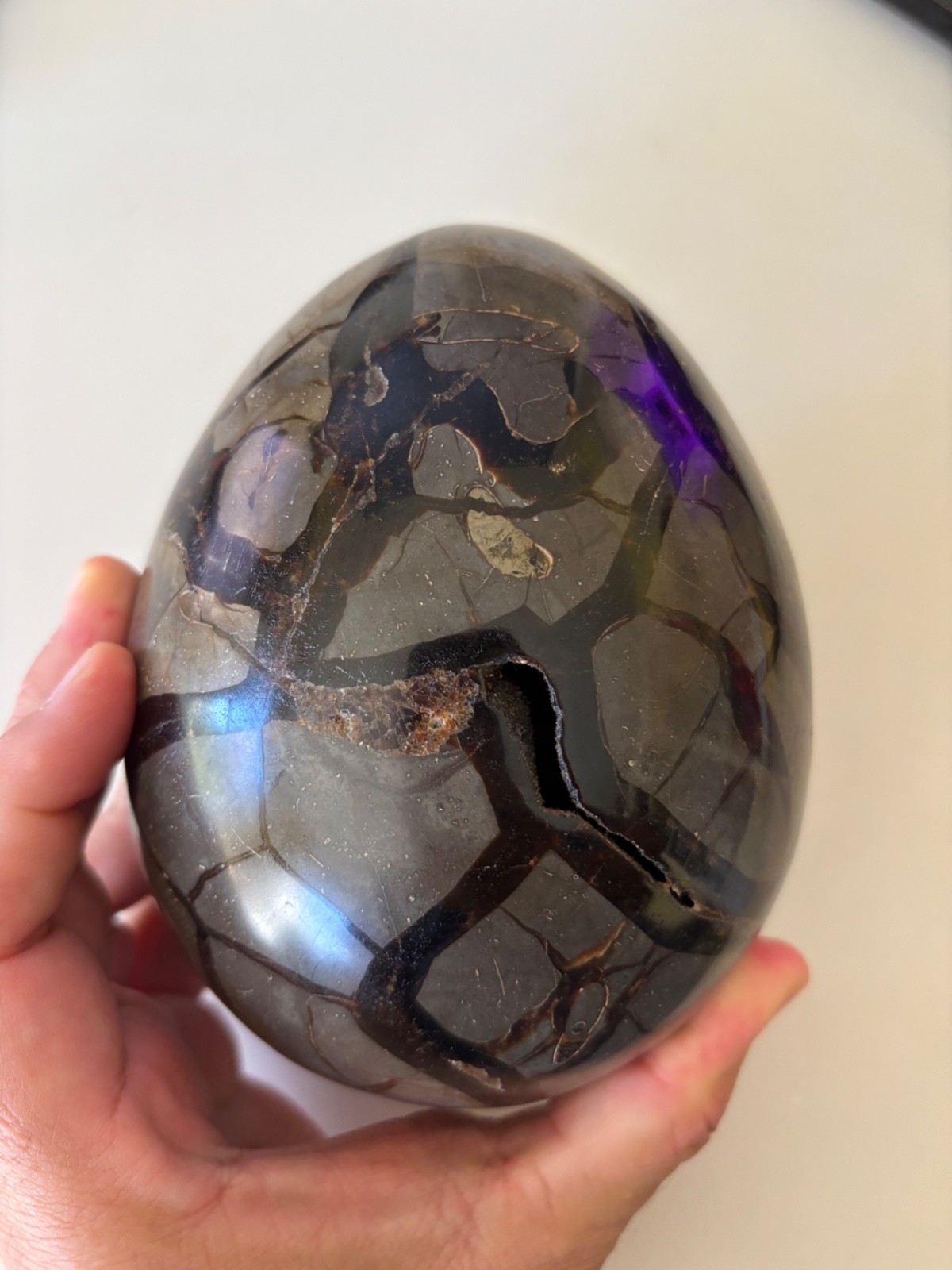 Large Septarian Dragon Egg Geode 4.58 LB Black Druzy Crystal Carved Window 6\