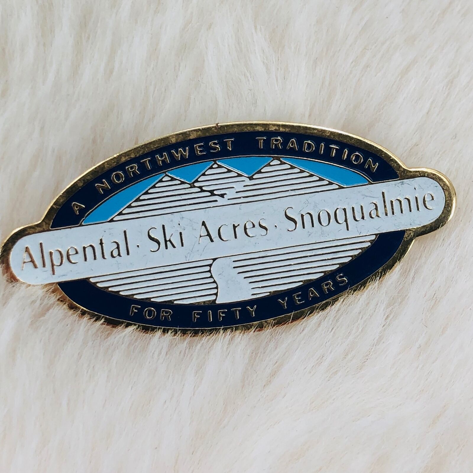 Alpental Ski Acres Snoqualmie Ski Resort Washington Souvenir Enamel Lapel Pin