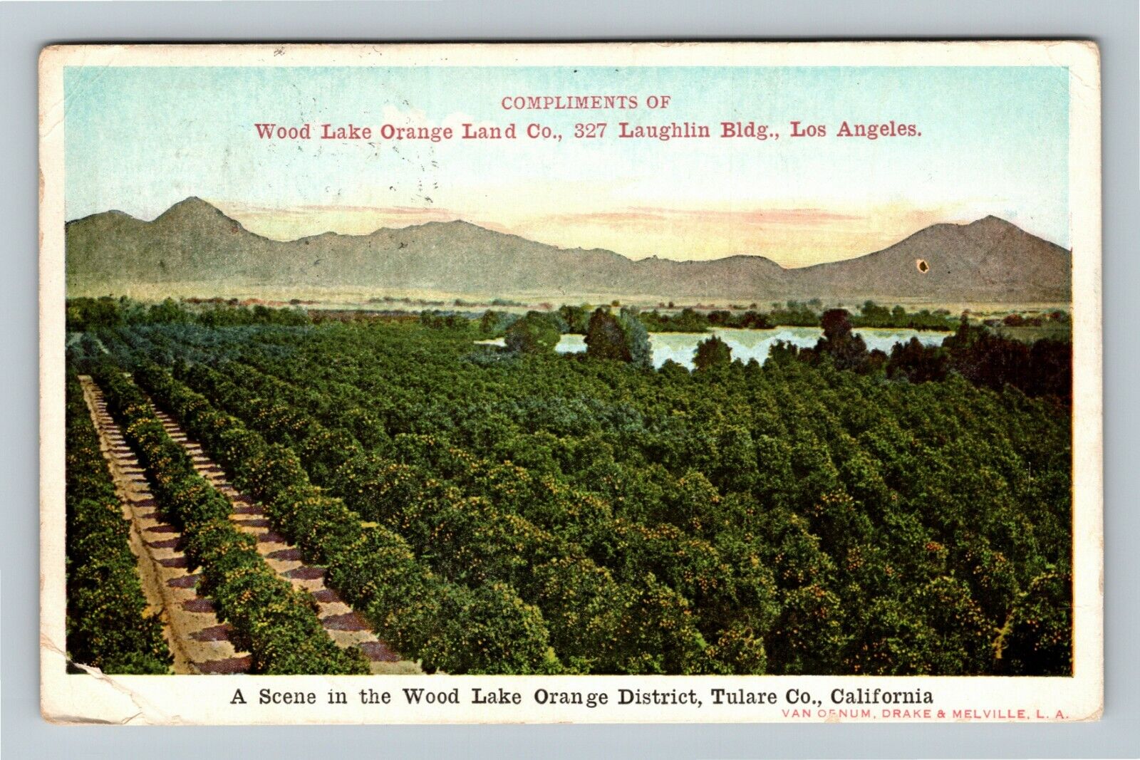 Los Angeles California, WOOD LAKE ORANGE LAND CO. c1908 Vintage Postcard