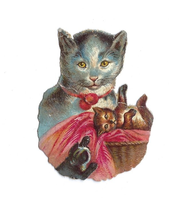 1888 Chromo, Fantasy CAT & KITTENS BASKET, Antique Victorian Die-Cut Scrap 2