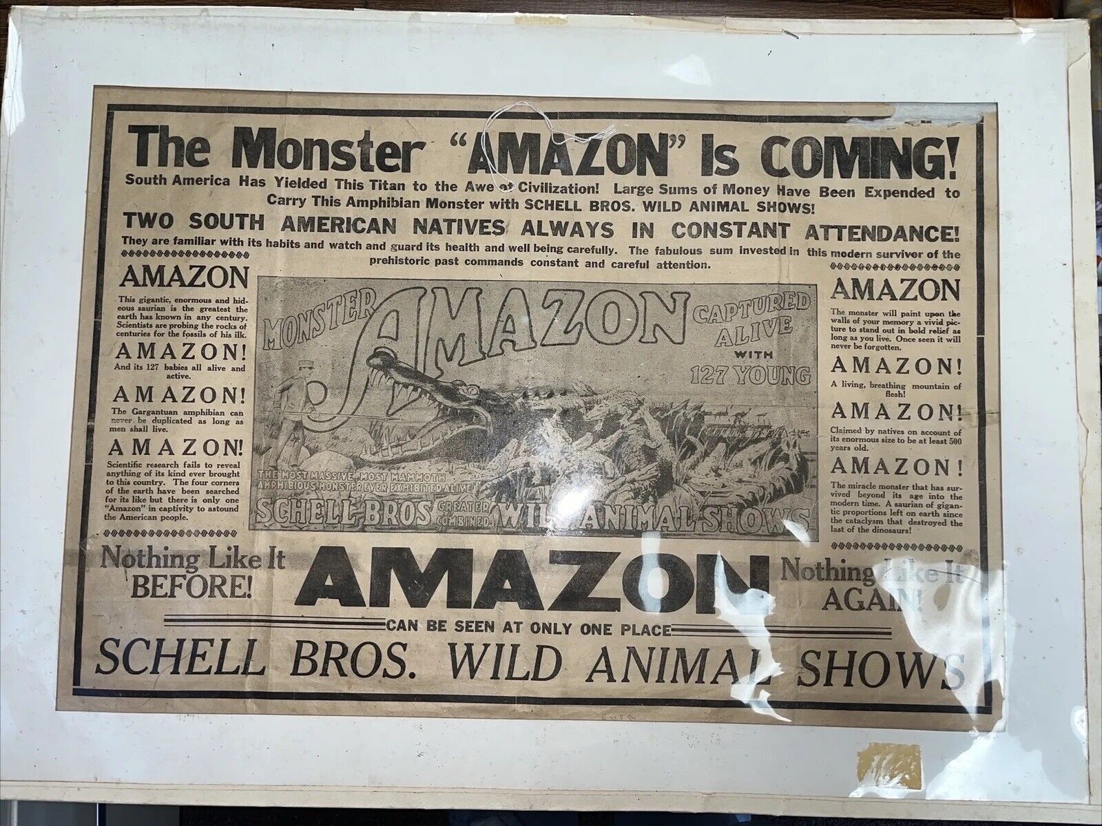 1930 Amazon Amphibious Monster Alligator Poster - Schell Bros Wild Animal Shows