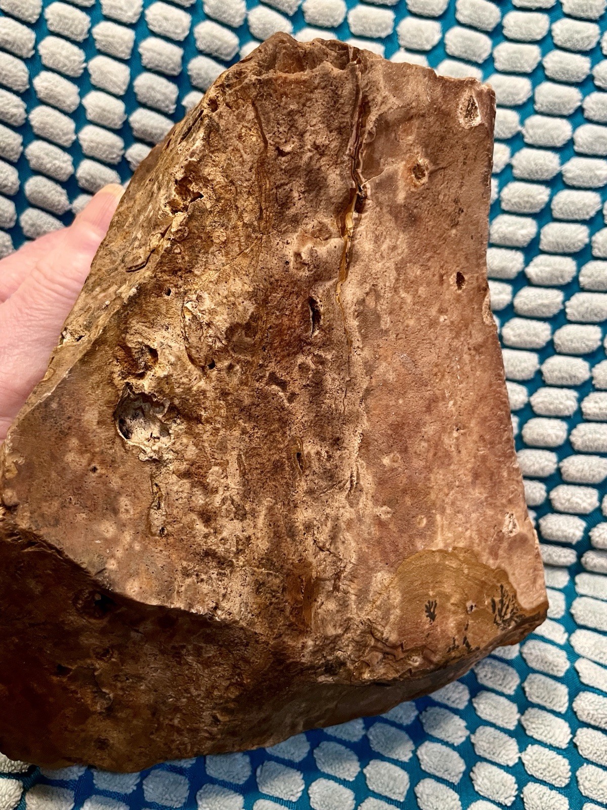 7.83 lb Biggs Picture Jasper  Lapidary Rough from Biggs, Oregon