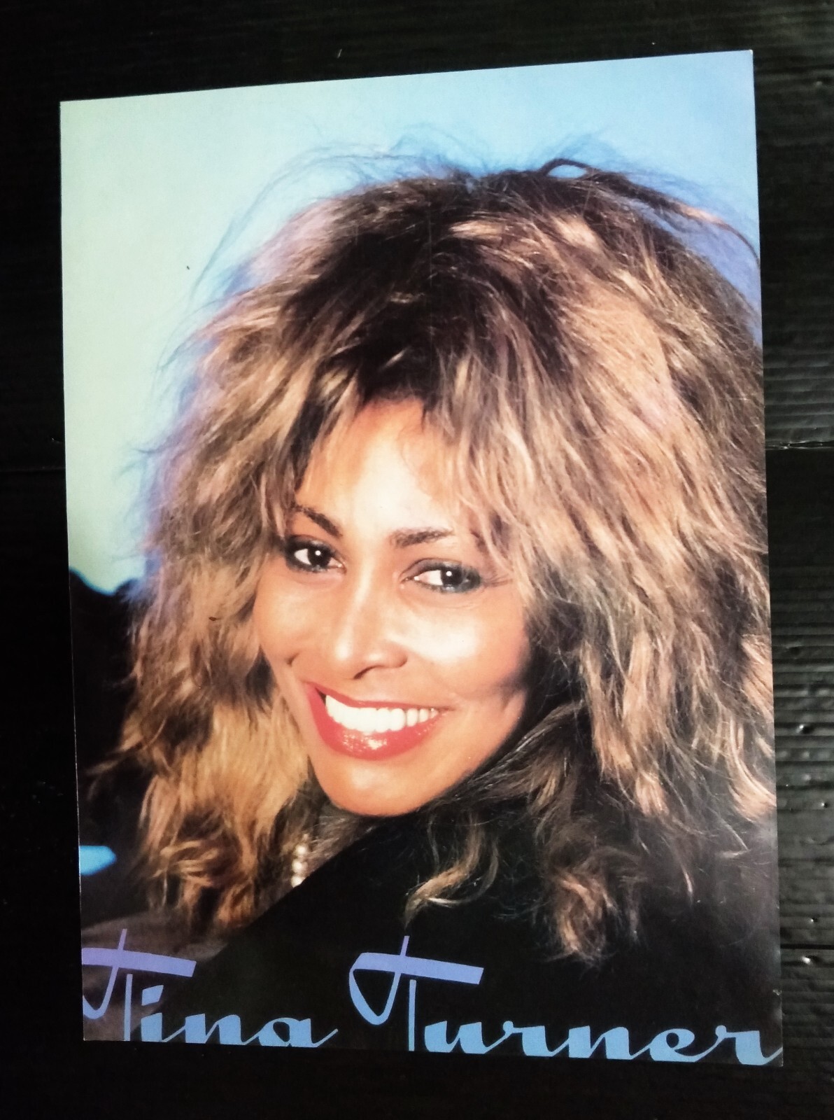 Tina Turner VINTAGE THAILAND ONLY 1 COLOR PAGE MEGA RARE