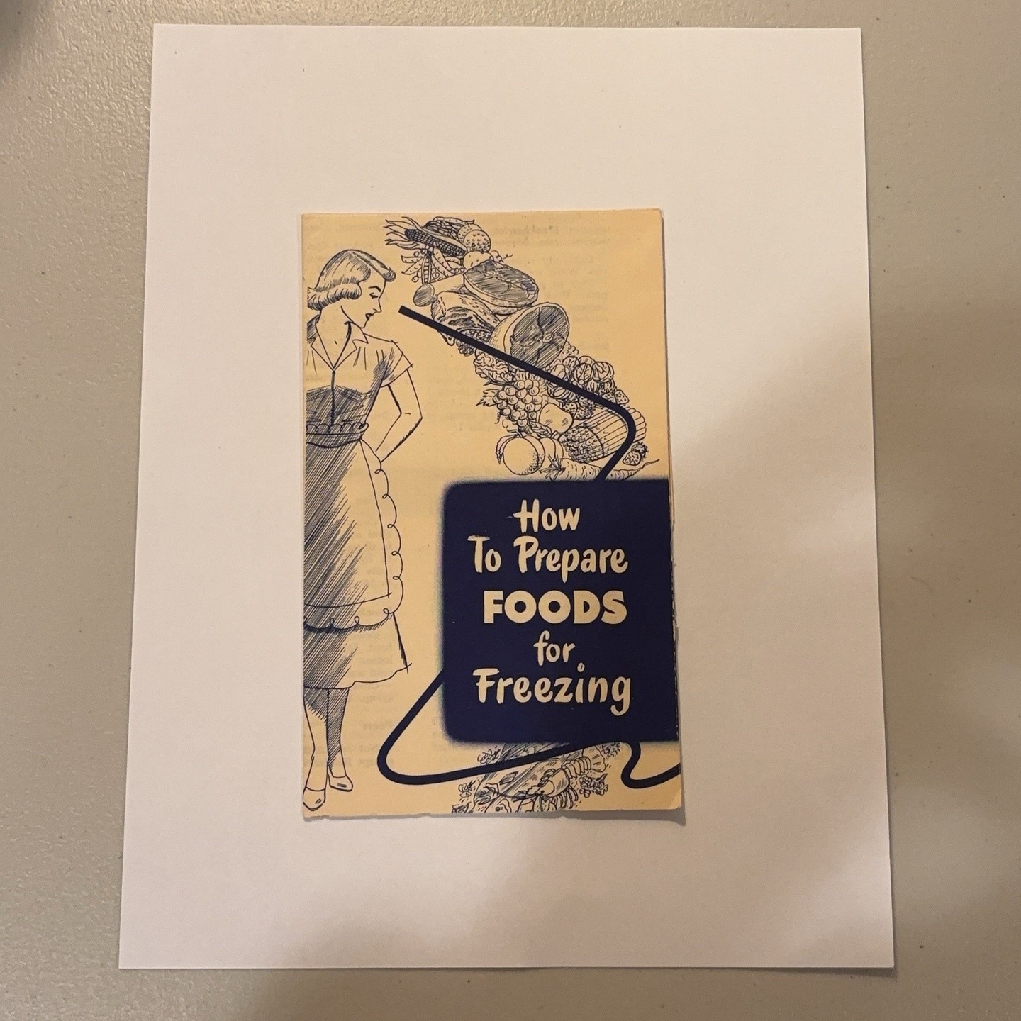 Vintage How To Prepare Foods For Freezing Pamphlet 50s Paper Ephemera MCM