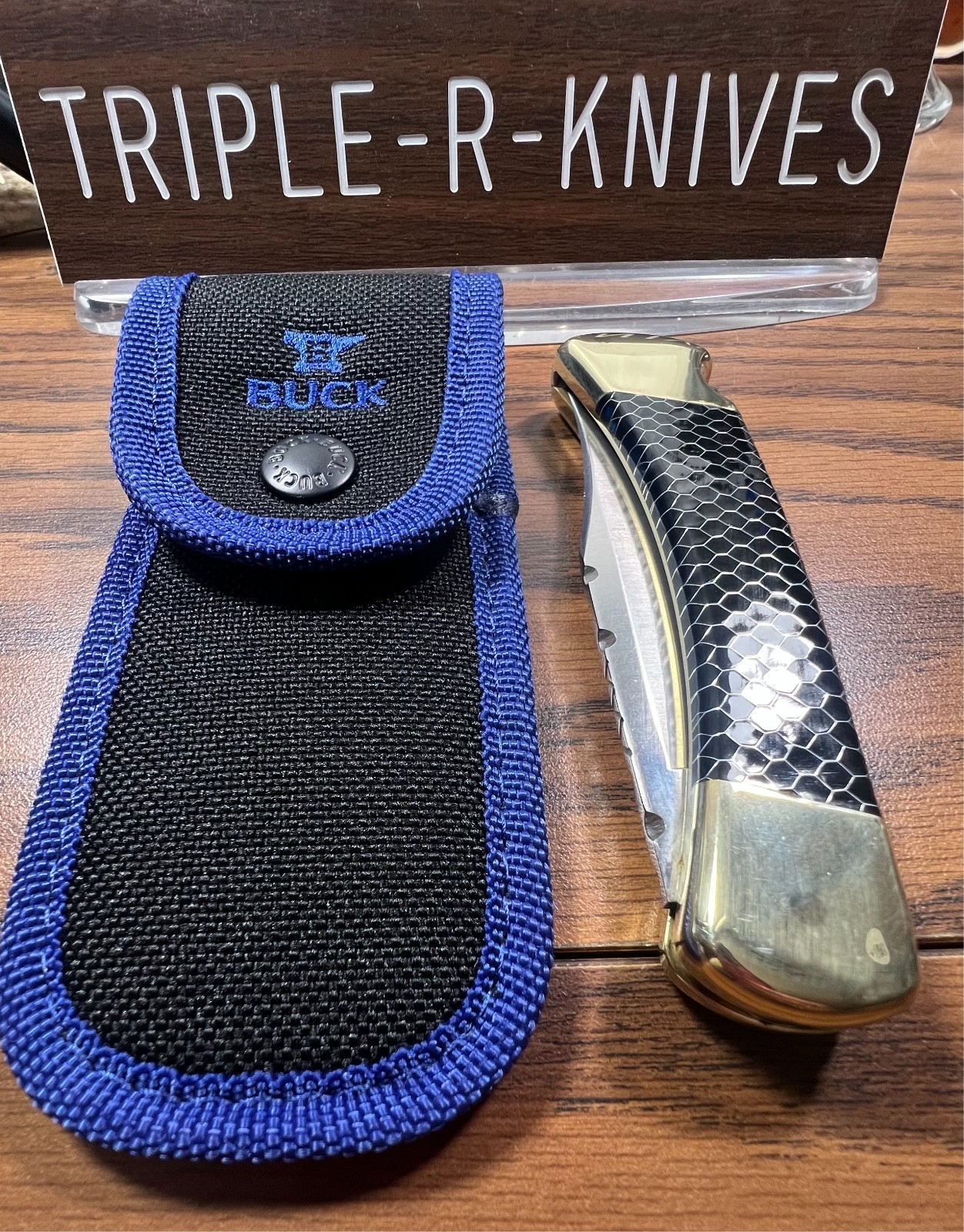 Leroy Remer Customized Buck 110 Folding Hunter Knife