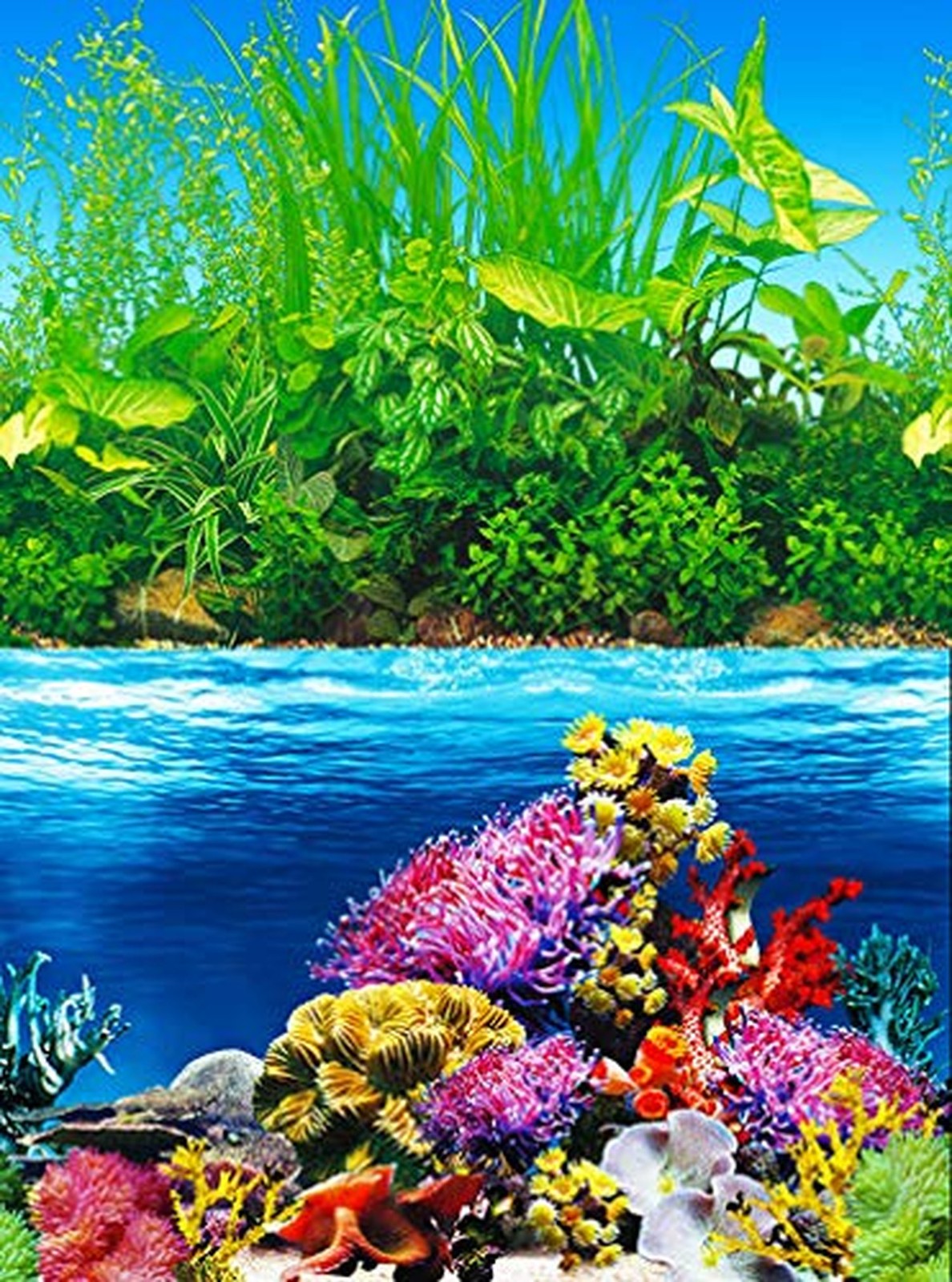 ELEBOX Fish Backgrounds Paper Double Sides Aquarium Background Picture, Color...