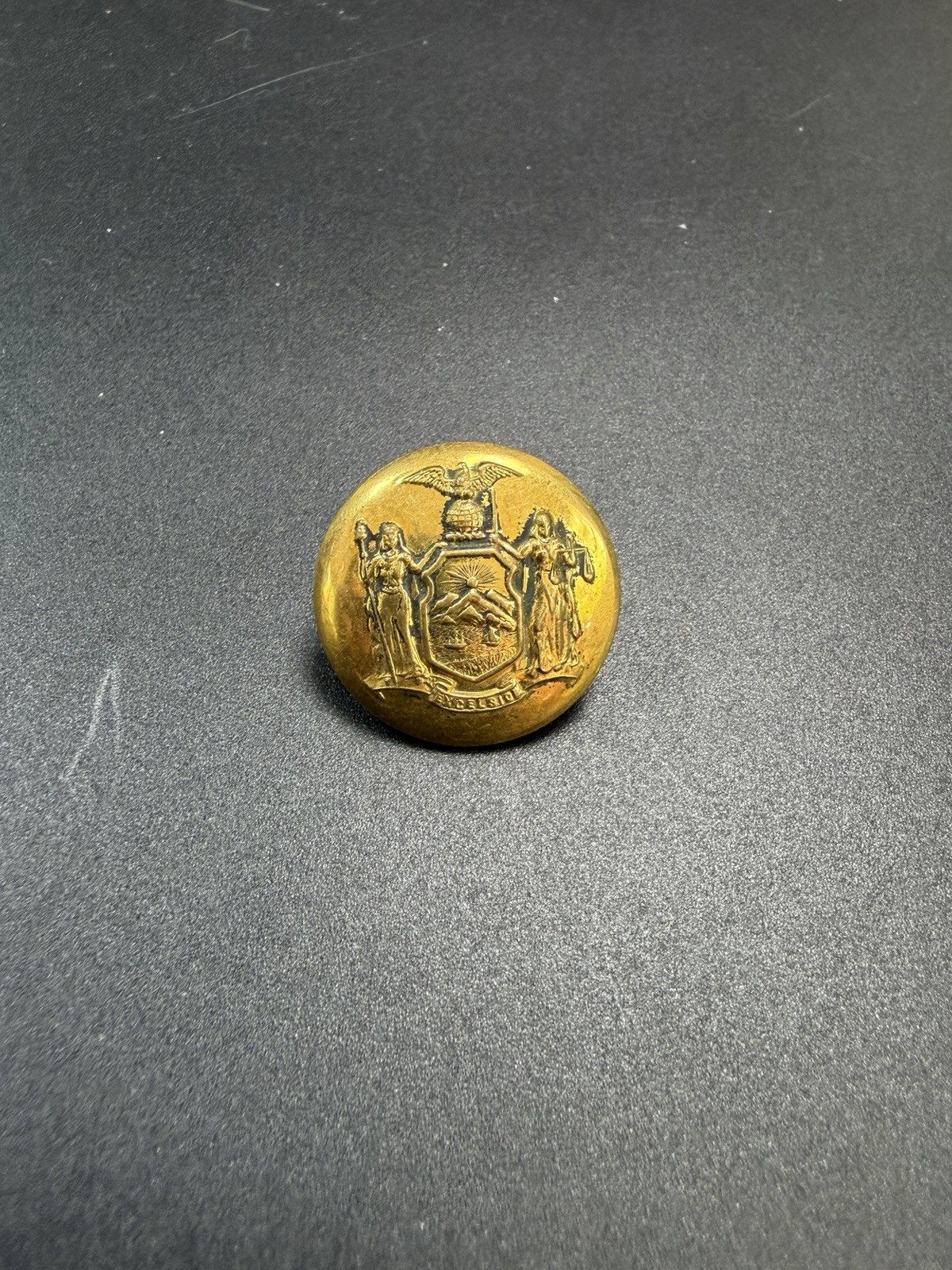 Vintage Post Civil War Button New York State Coat of Arms 19th to mid 20th