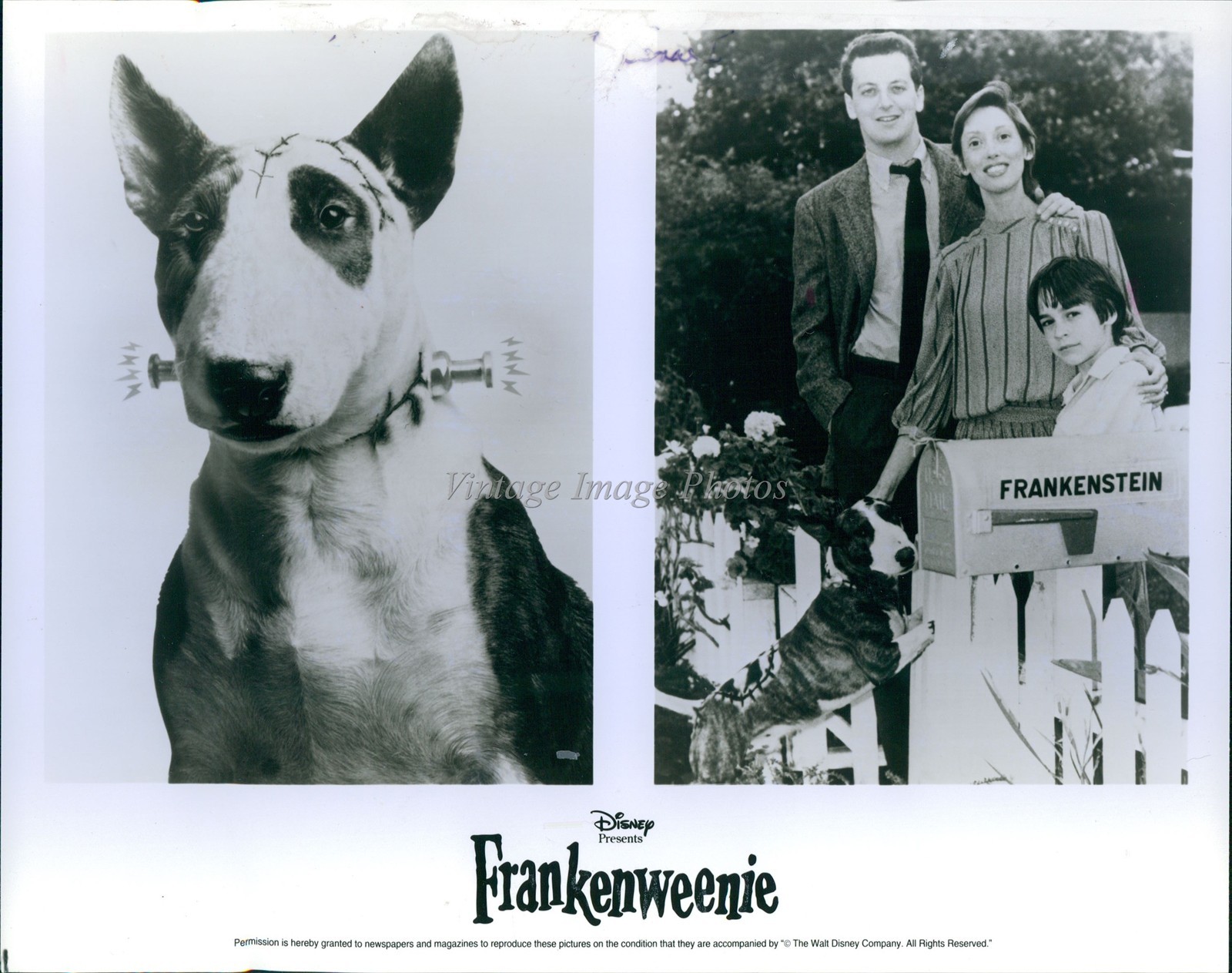 1992 Frankenweenie Dan Stern Shelley Duvall Barret Oliver Photo 8x10