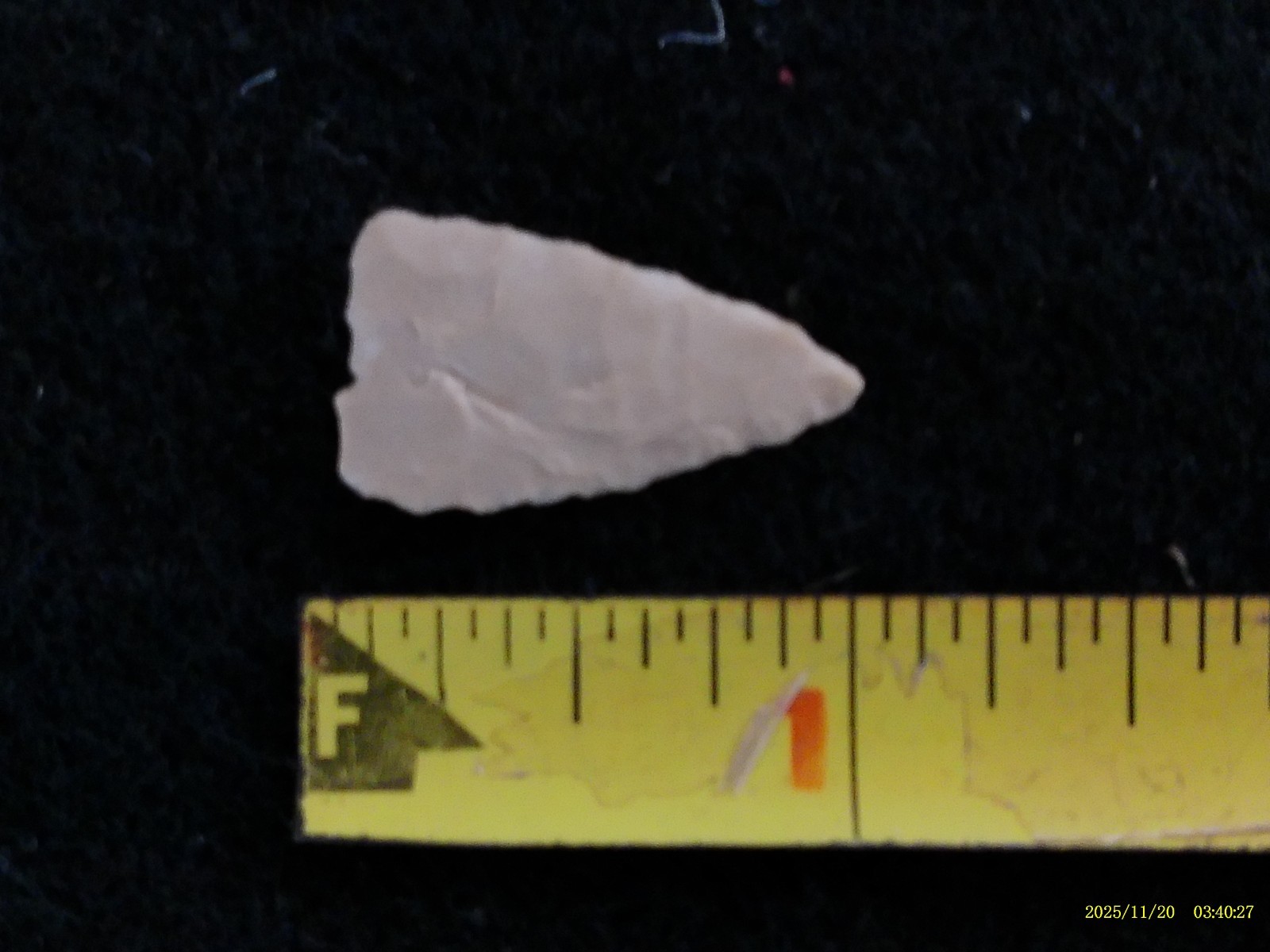 Authentic West Texas Bird Point Arrowhead, Indian Artifacts *FREE SHIPPING* PR68