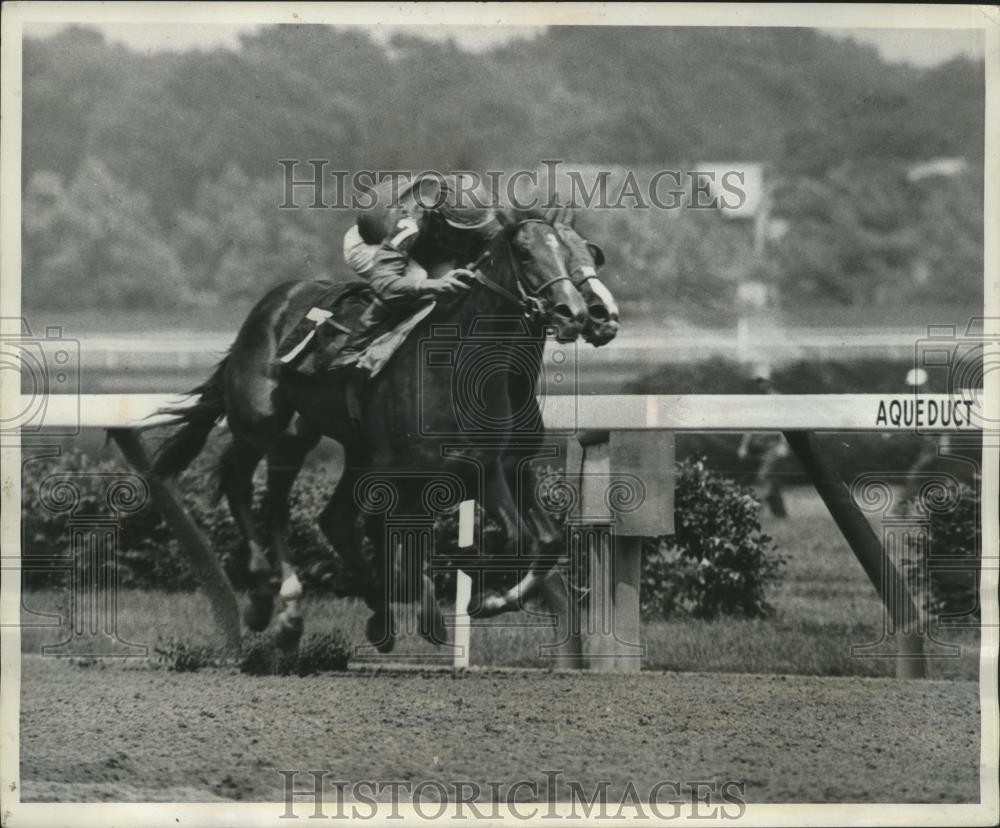 1966 Press Photo 