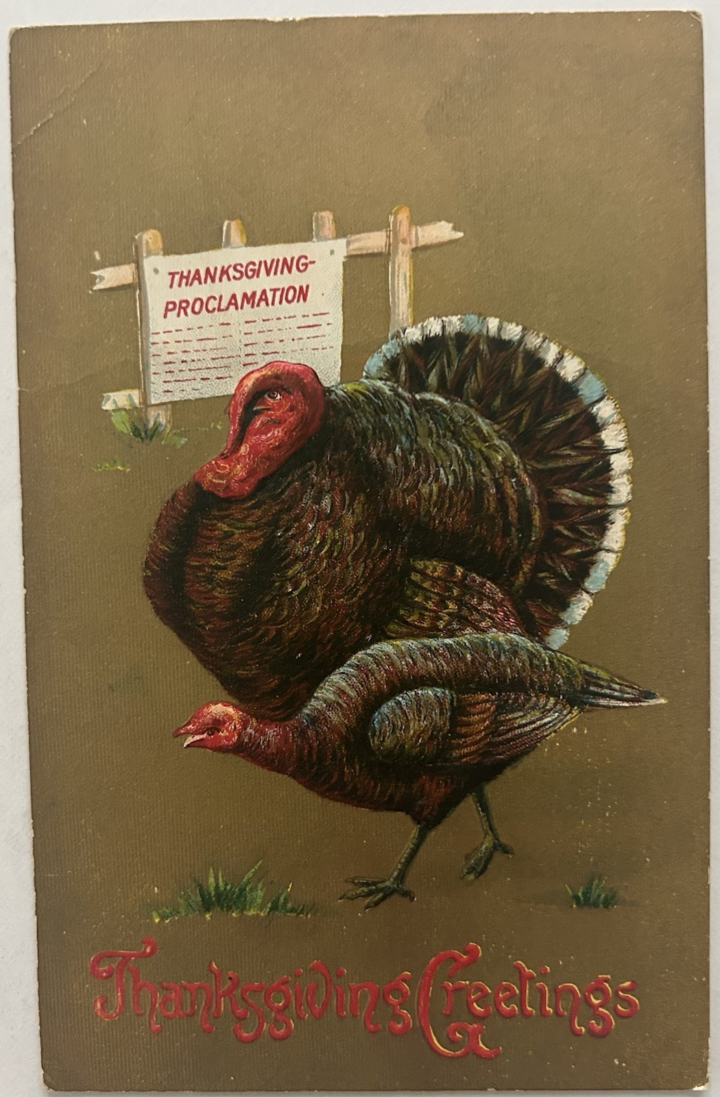 Antique Embossed Thanksgiving Postcard | Proclamation Turkeys | Early 1900s Antique Embossed Thanksgiving Postcard | Proclamation Turkeys | Early 1900s