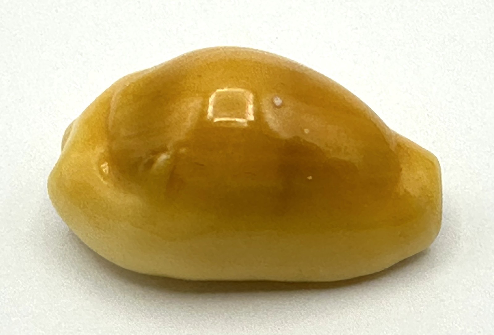 Monetaria moneta 