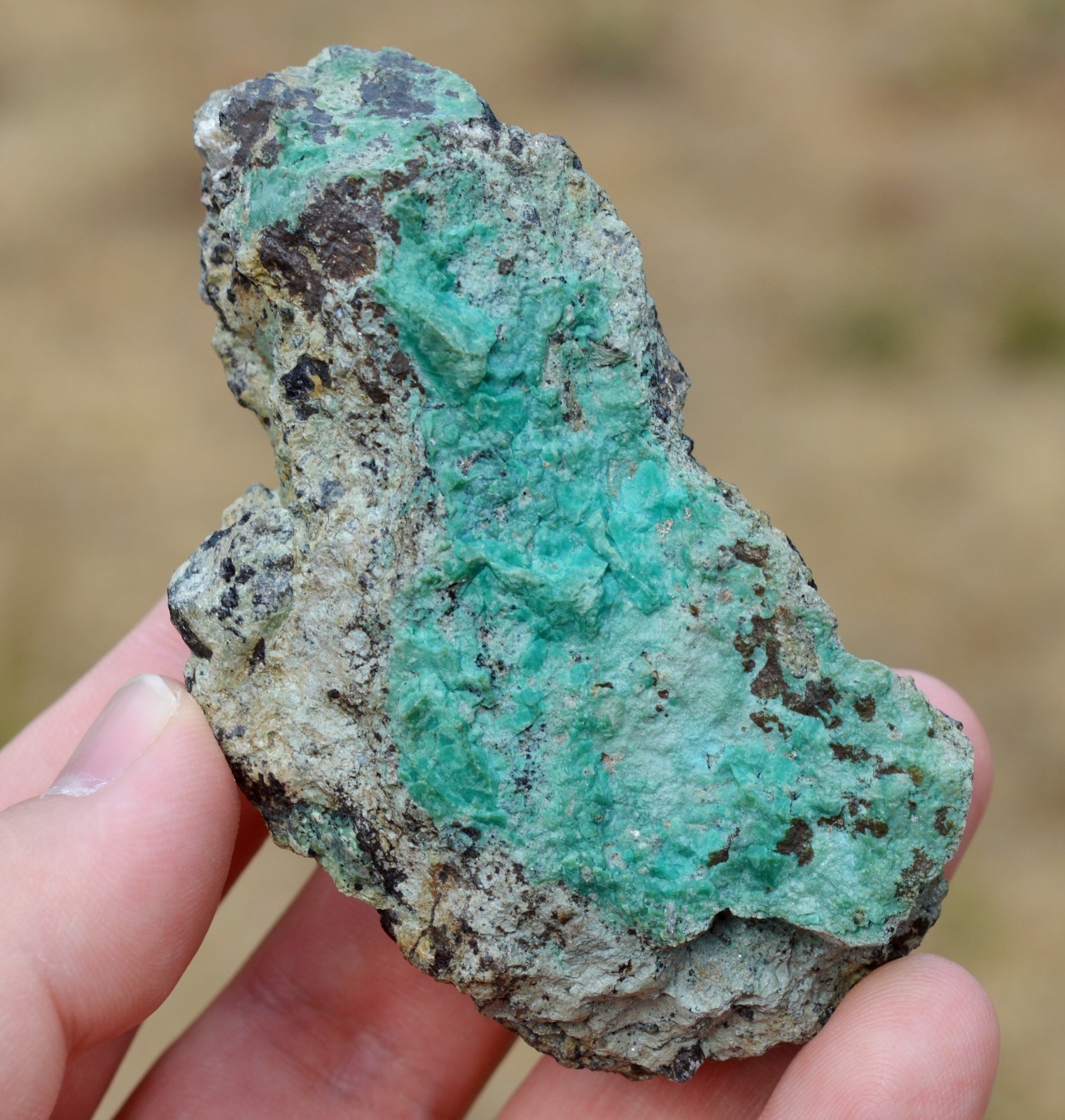 Brochantite 161 grams - La Verde Mine, Tierra Amarilla, Copiapó, Atacama Chili Brochantite 161 grams - La Verde Mine, Tierra Amarilla, Copiapó, Atacama Chili