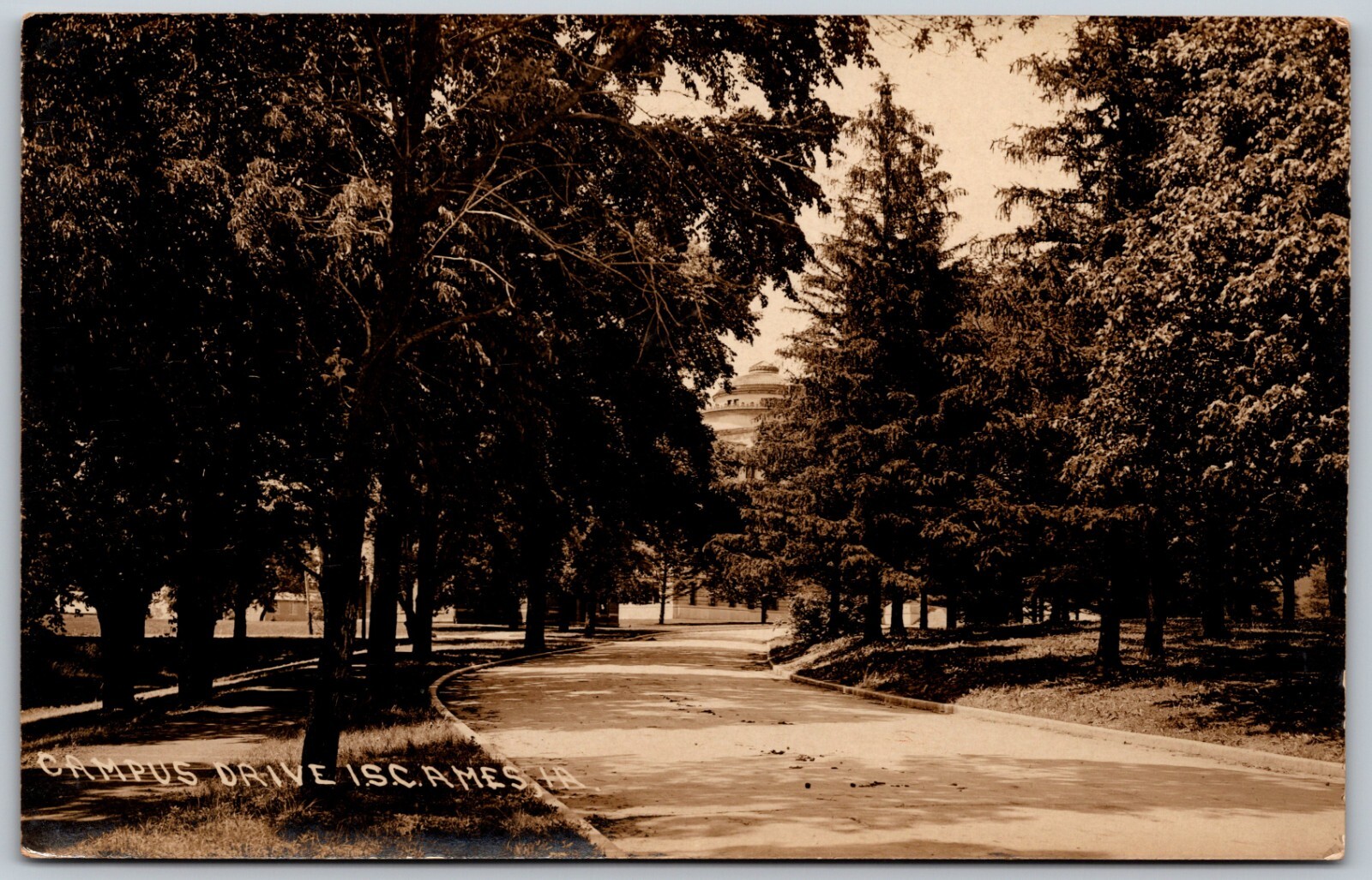 c1910s RPPC Campus Drive At Iowa State College AMES Iowa Rare ANTIQUE Postcard