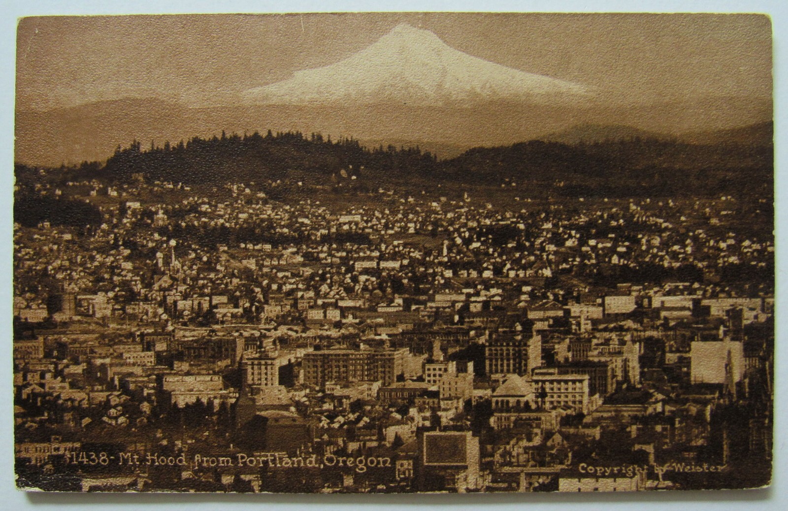 Portland Oregon Mt. Hood 1911 Postcard Aerial View