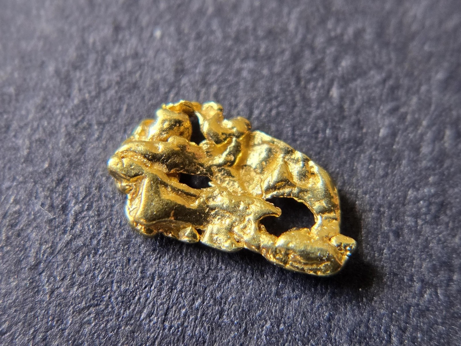 Hidden Beneath Home | Natural Gold Nugget | Truckee Meadows Nevada