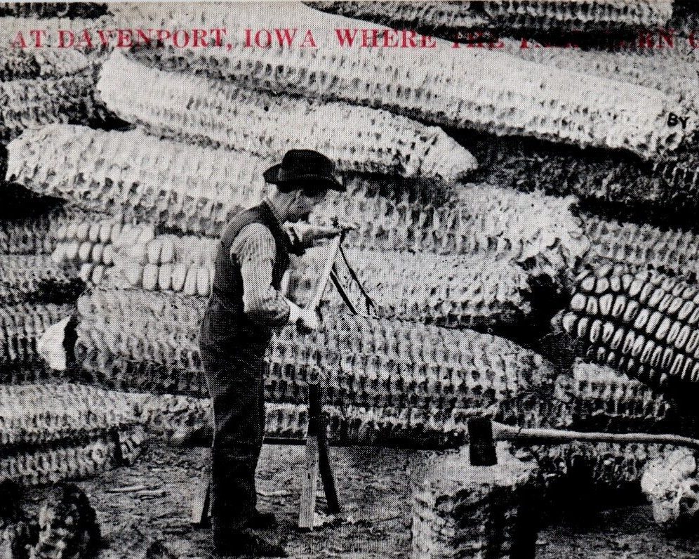 1912, Beating the Coal Trust A S Johnson - At Davenport, Iowa HUGE CORN RPPC