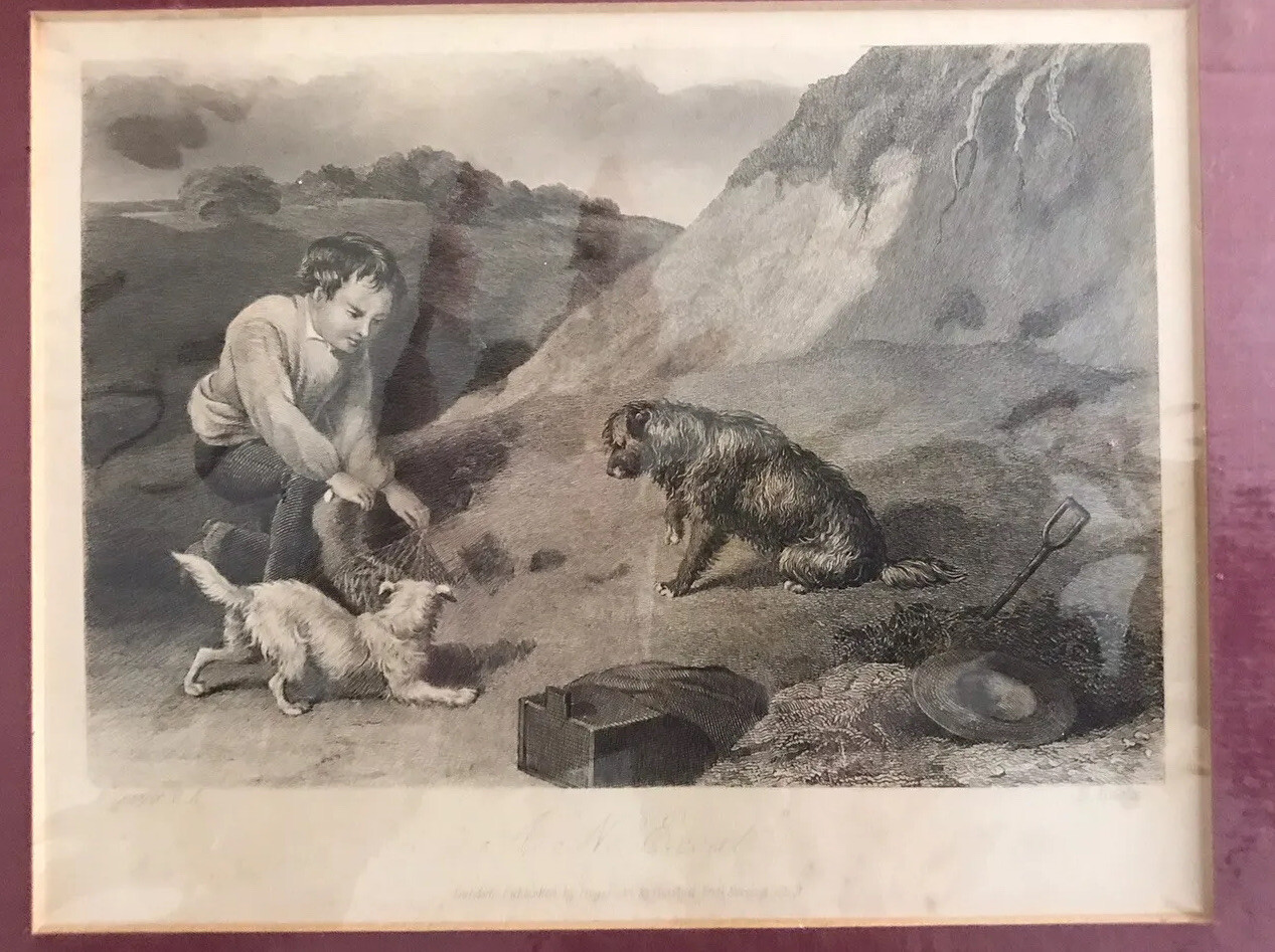 Terrier vintage print Original