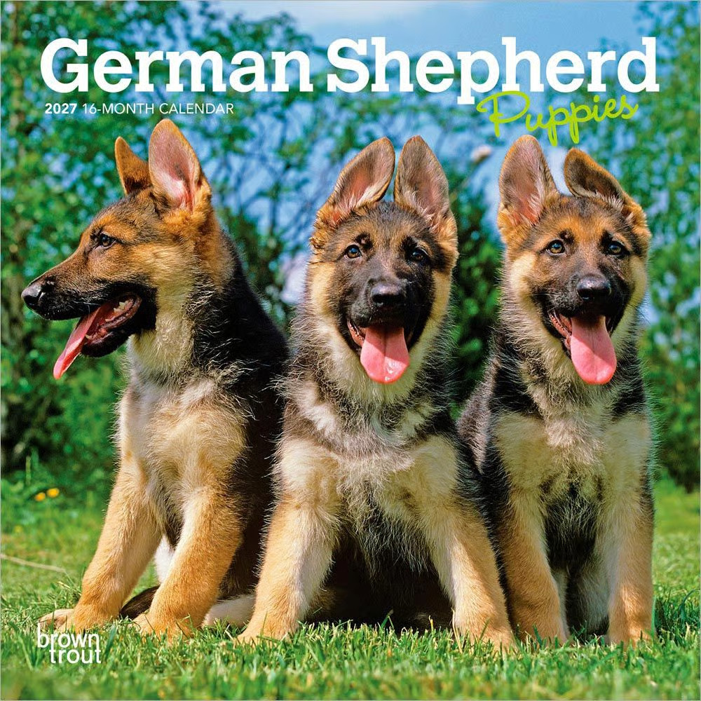 BrownTrout,  German Shepherd Puppies 2027 Mini Wall Calendar