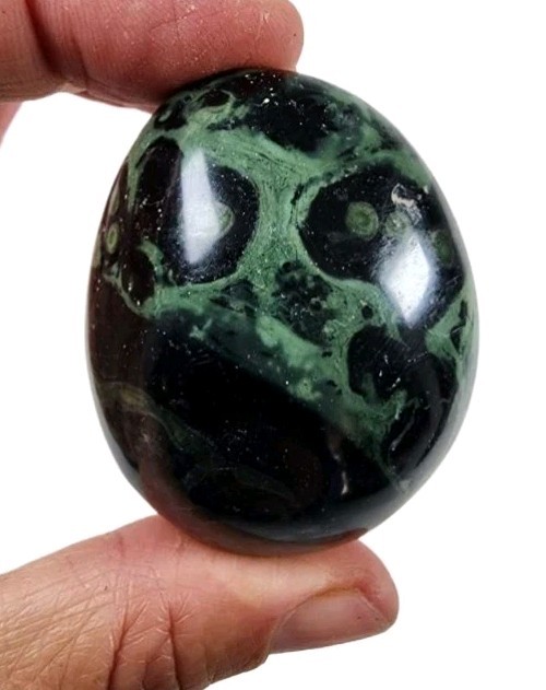 Crocodile Jasper \