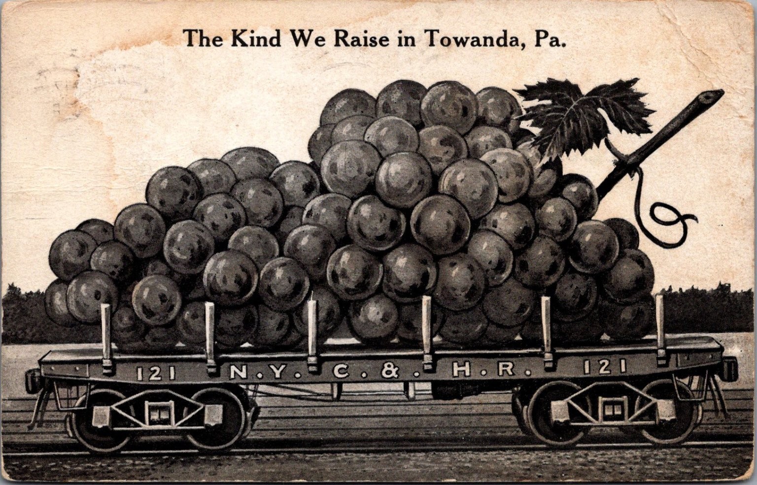 Towanda PA Giant Grapes Train Car N.Y.C. & H.R. Art Mfg Co. Postcard 1910s Towanda PA Giant Grapes Train Car N.Y.C. & H.R. Art Mfg Co. Postcard 1910s