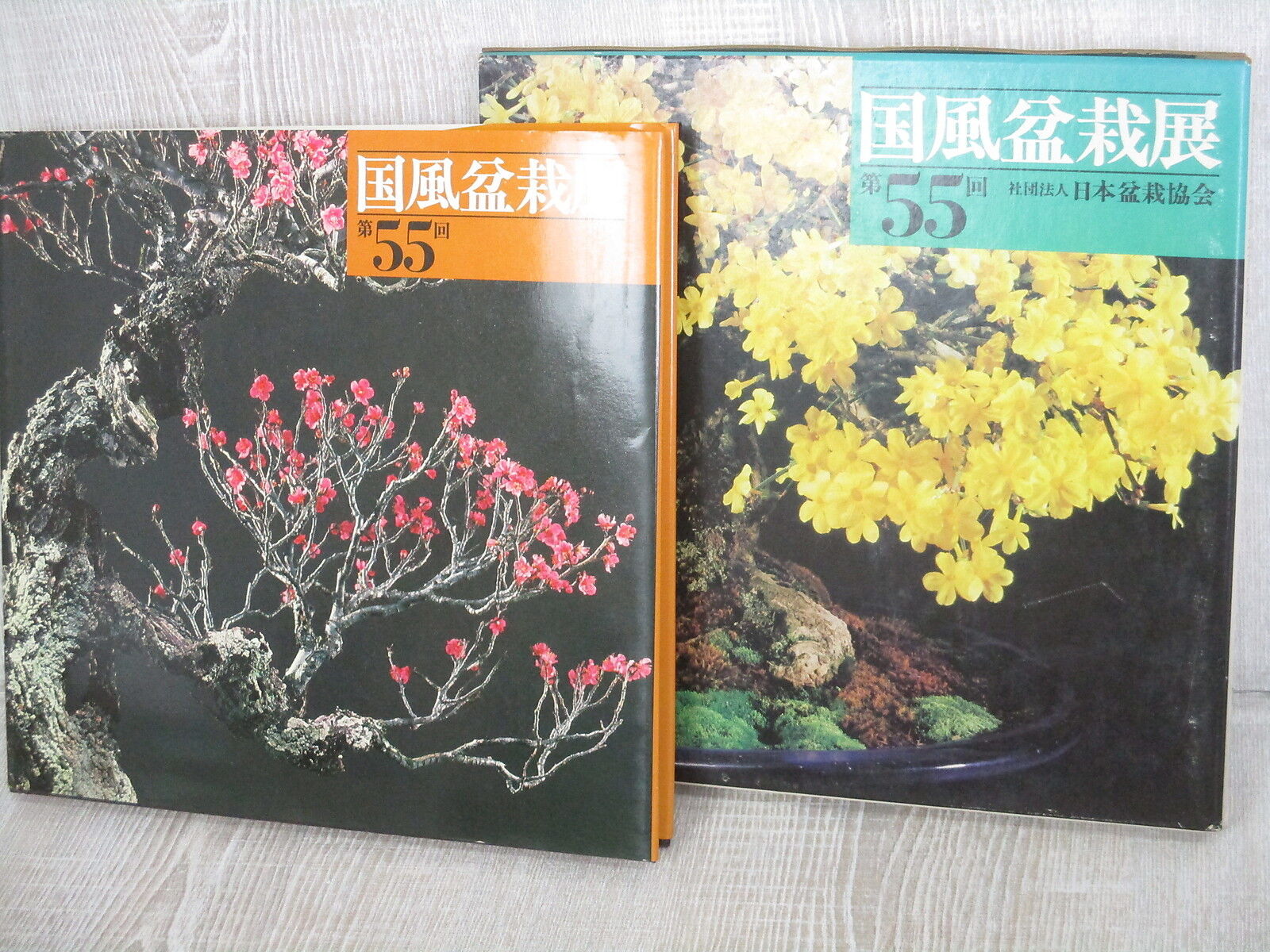 BONSAI KOKUFU Exhibition 55th Art Photo Book Pictorial Japan 1981 SeeCondition