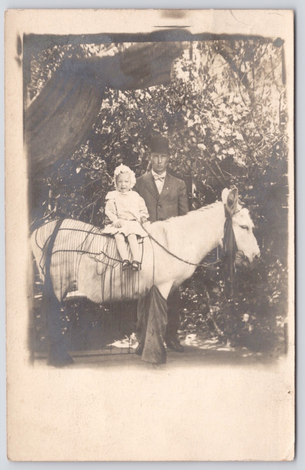 Postcard RPPC Daughter is Scared while Sitting on Mule. Father Scared Also. 1911